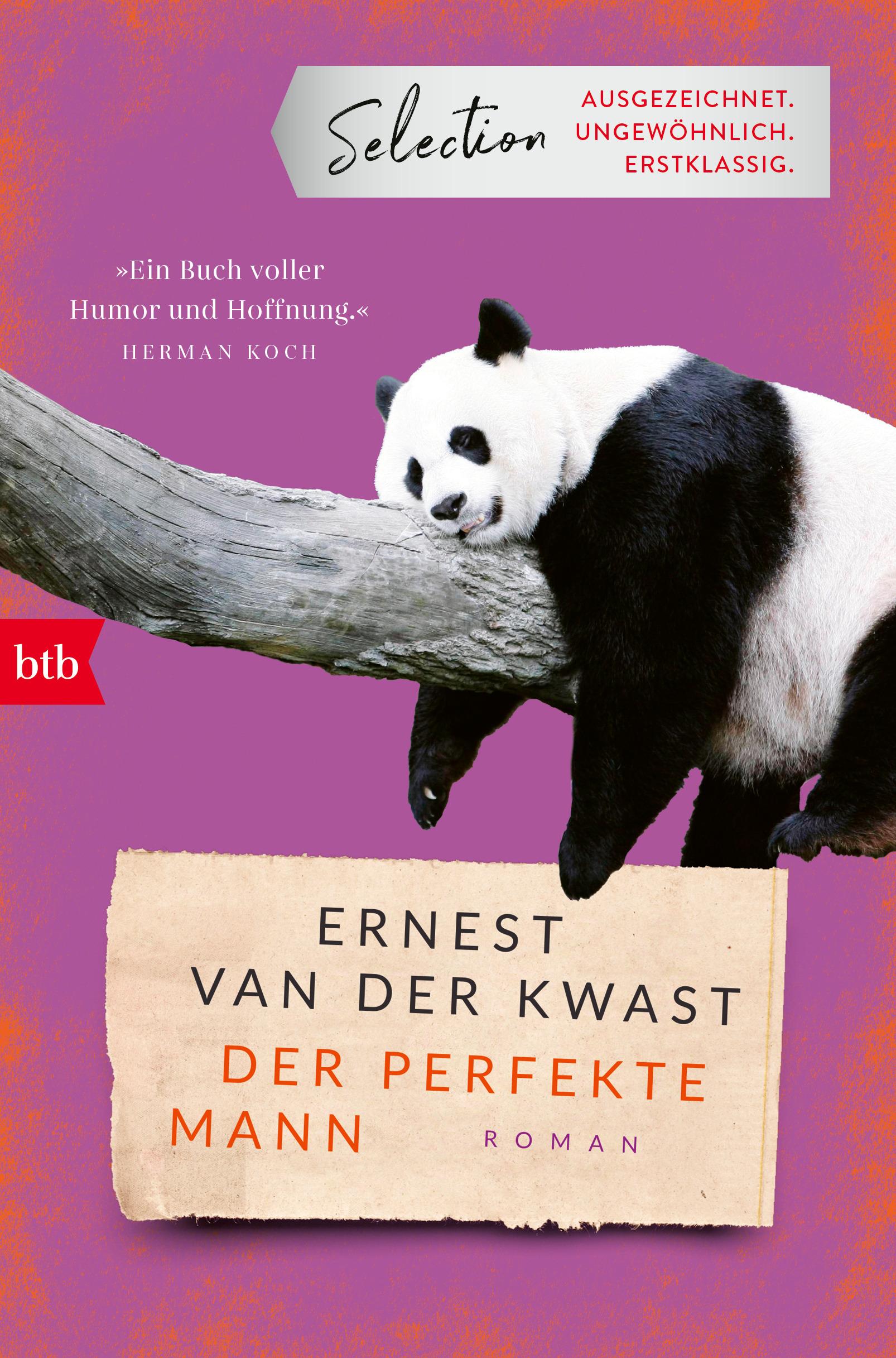 Vorderes Coverbild Der perfekte Mann