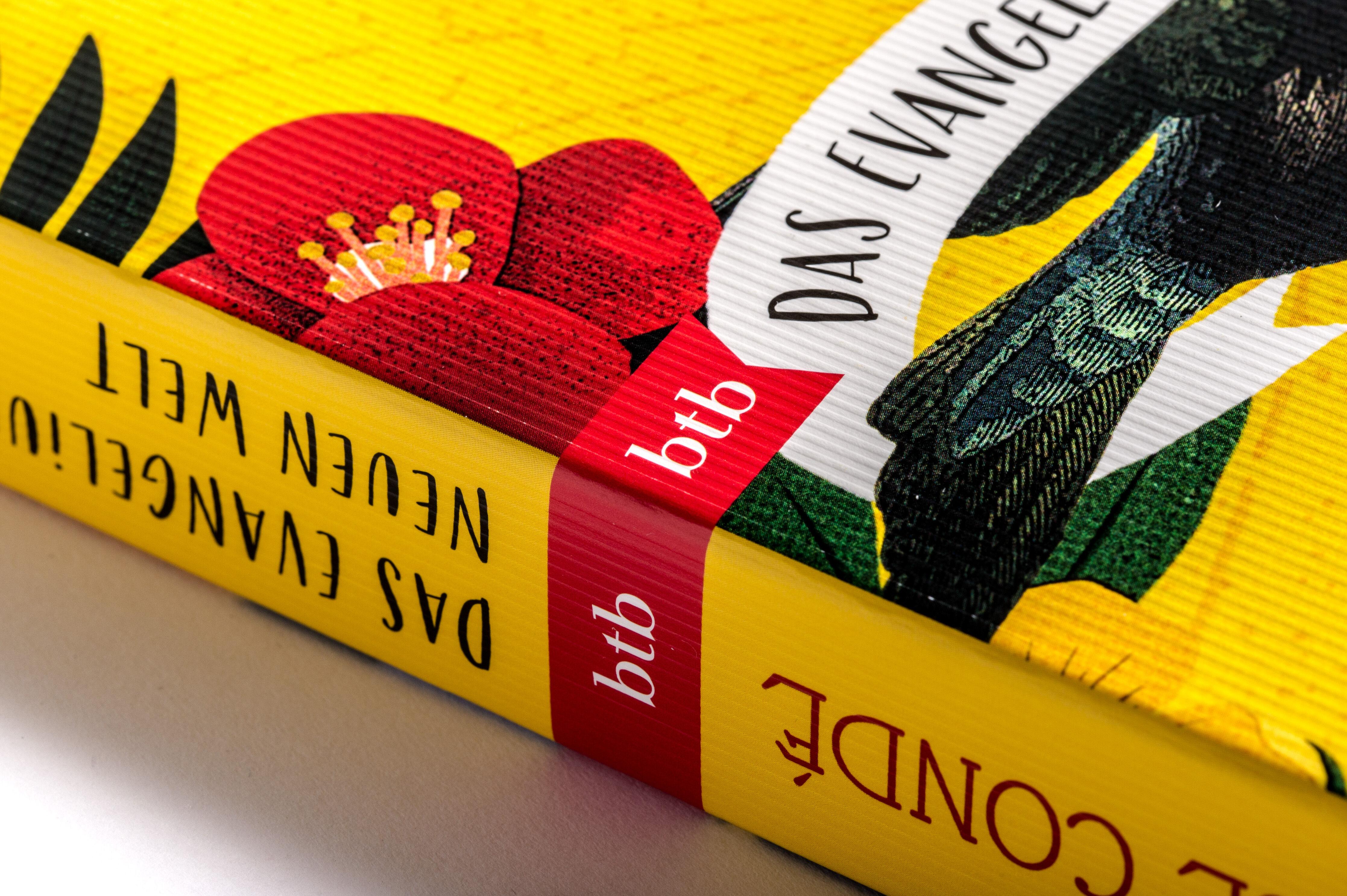 Beispielinhalt (Bild) Das Evangelium der neuen Welt