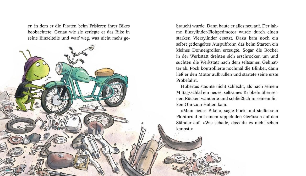 Beispielinhalt (Bild) Schnüffelnasen 4: Schnüffelnasen geben Vollgas