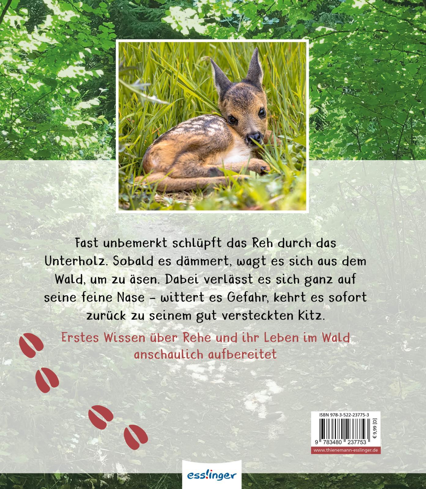 Rückseitencover Meine große Tierbibliothek: Das Reh