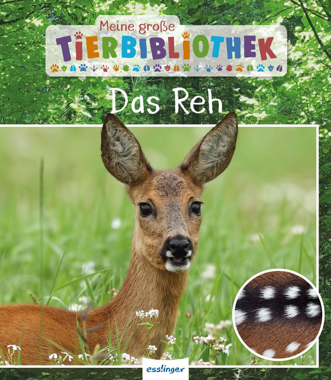 Vorderes Coverbild Meine große Tierbibliothek: Das Reh
