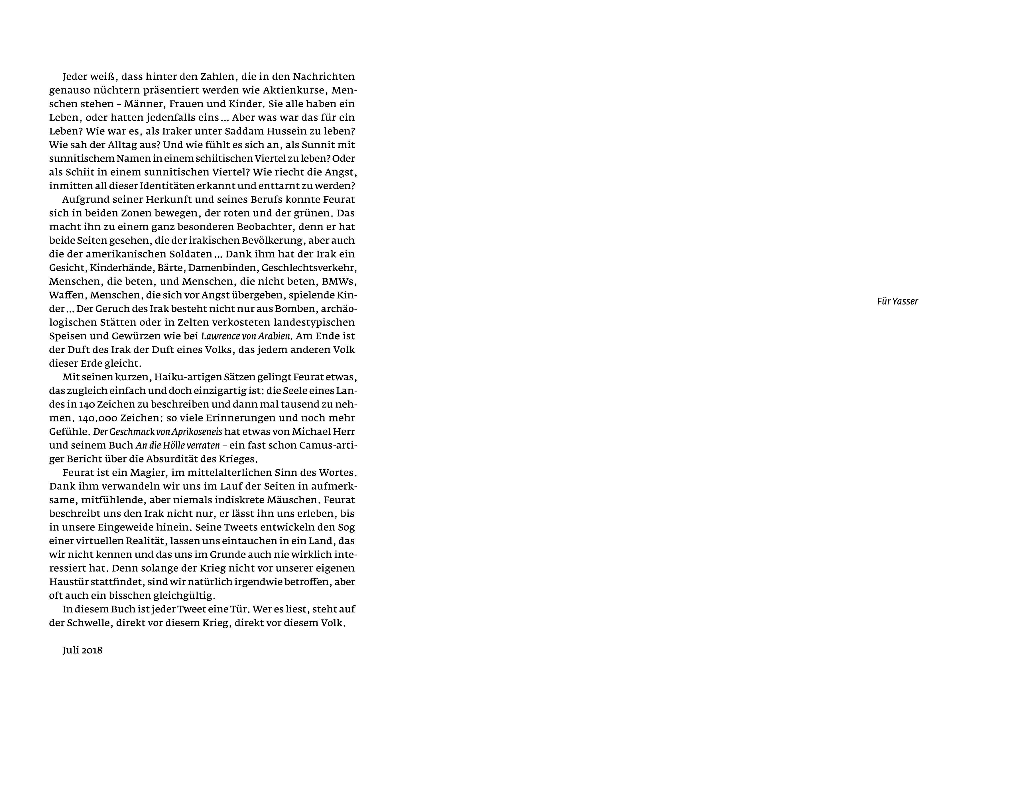 Beispielinhalt (Bild) Der Geschmack von Aprikoseneis