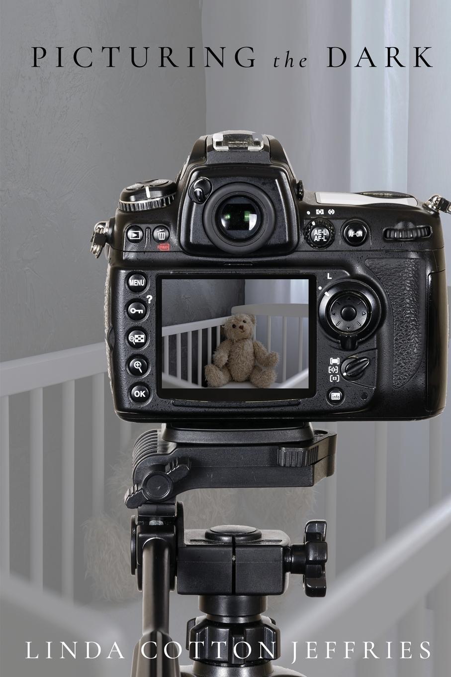 Vorderes Coverbild Picturing the Dark