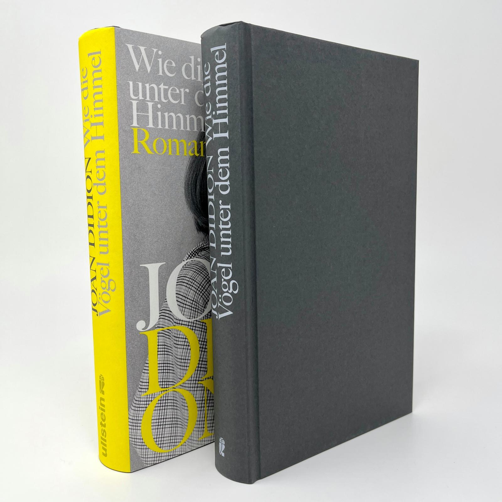 Beispielinhalt (Bild) Wie die Vögel unter dem Himmel