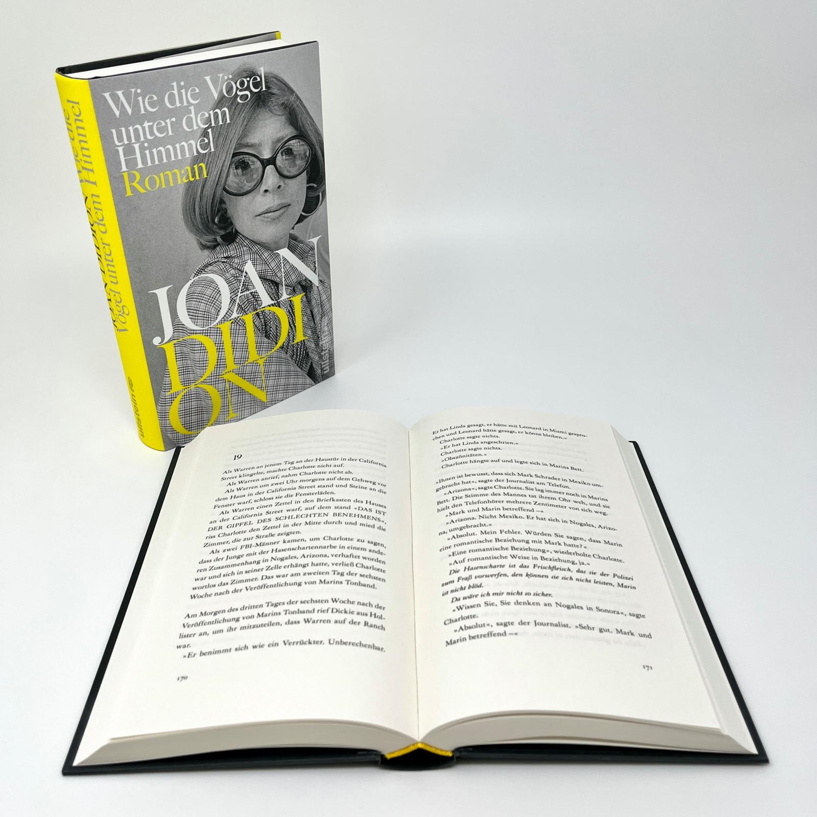 Beispielinhalt (Bild) Wie die Vögel unter dem Himmel