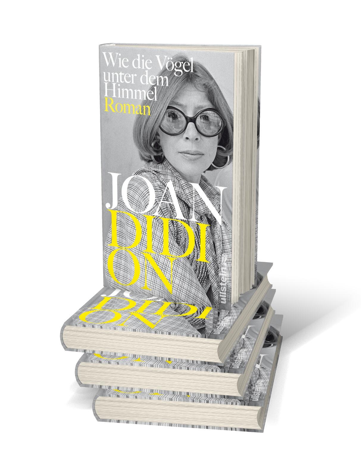 Beispielinhalt (Bild) Wie die Vögel unter dem Himmel