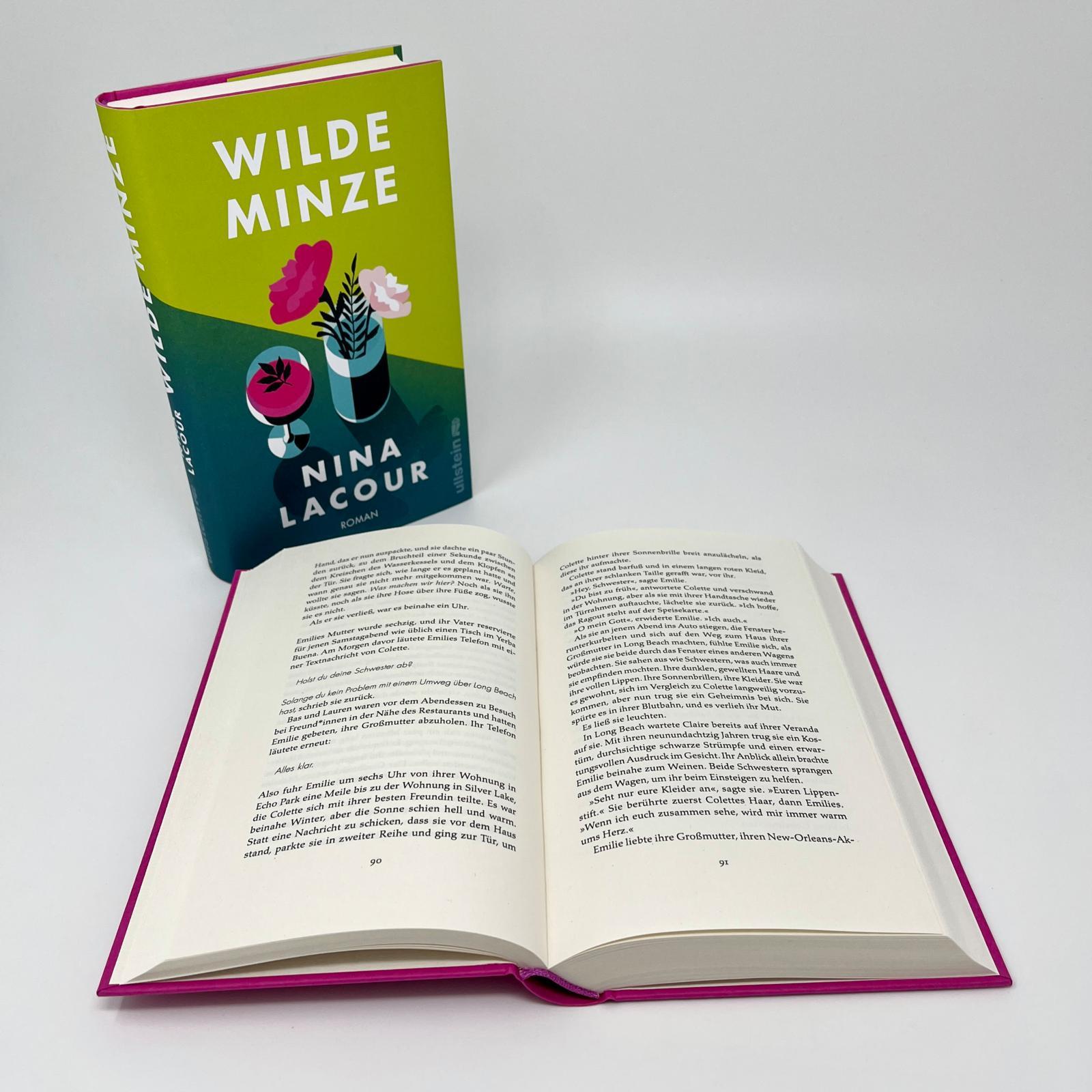 Beispielinhalt (Bild) Wilde Minze