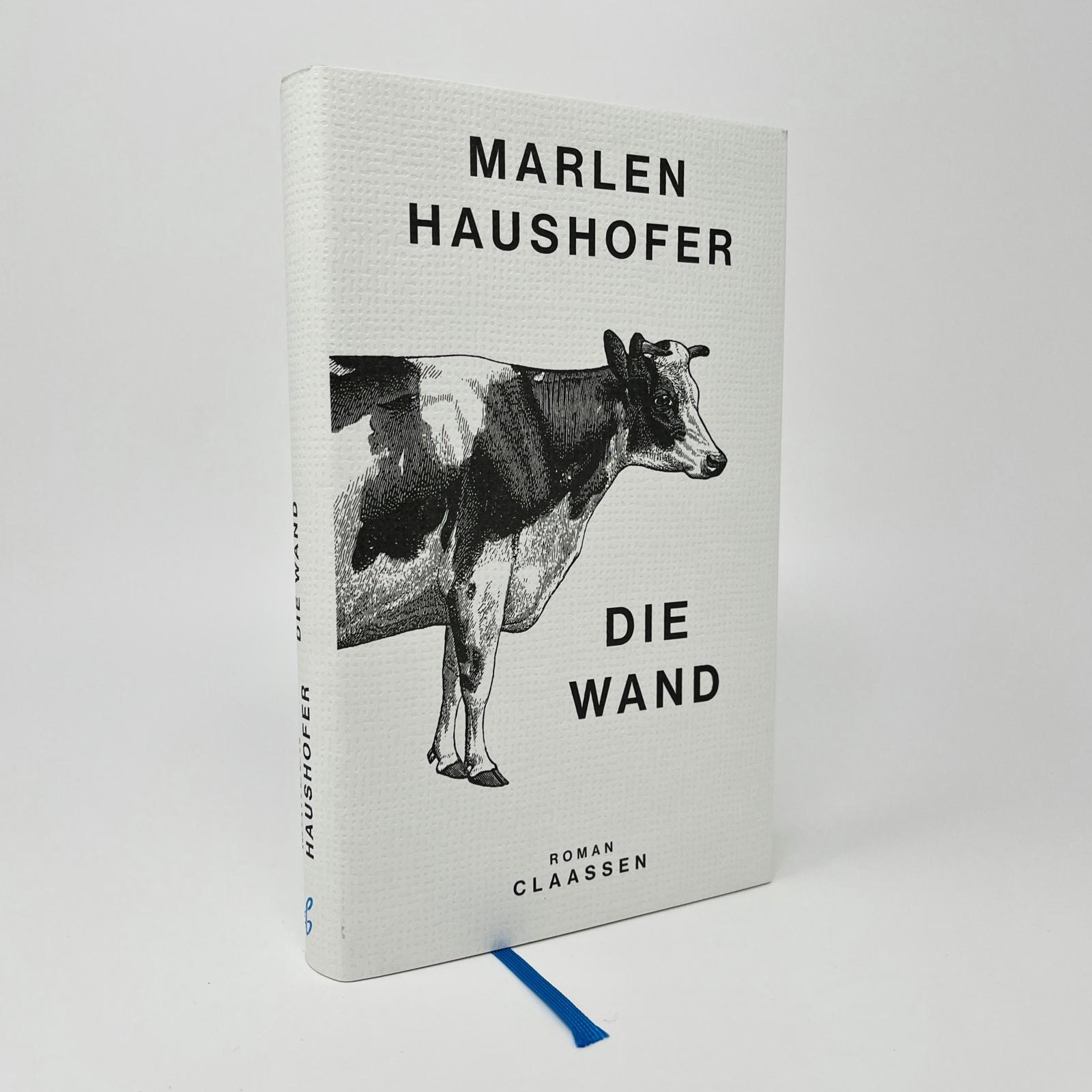 Beispielinhalt (Bild) Die Wand