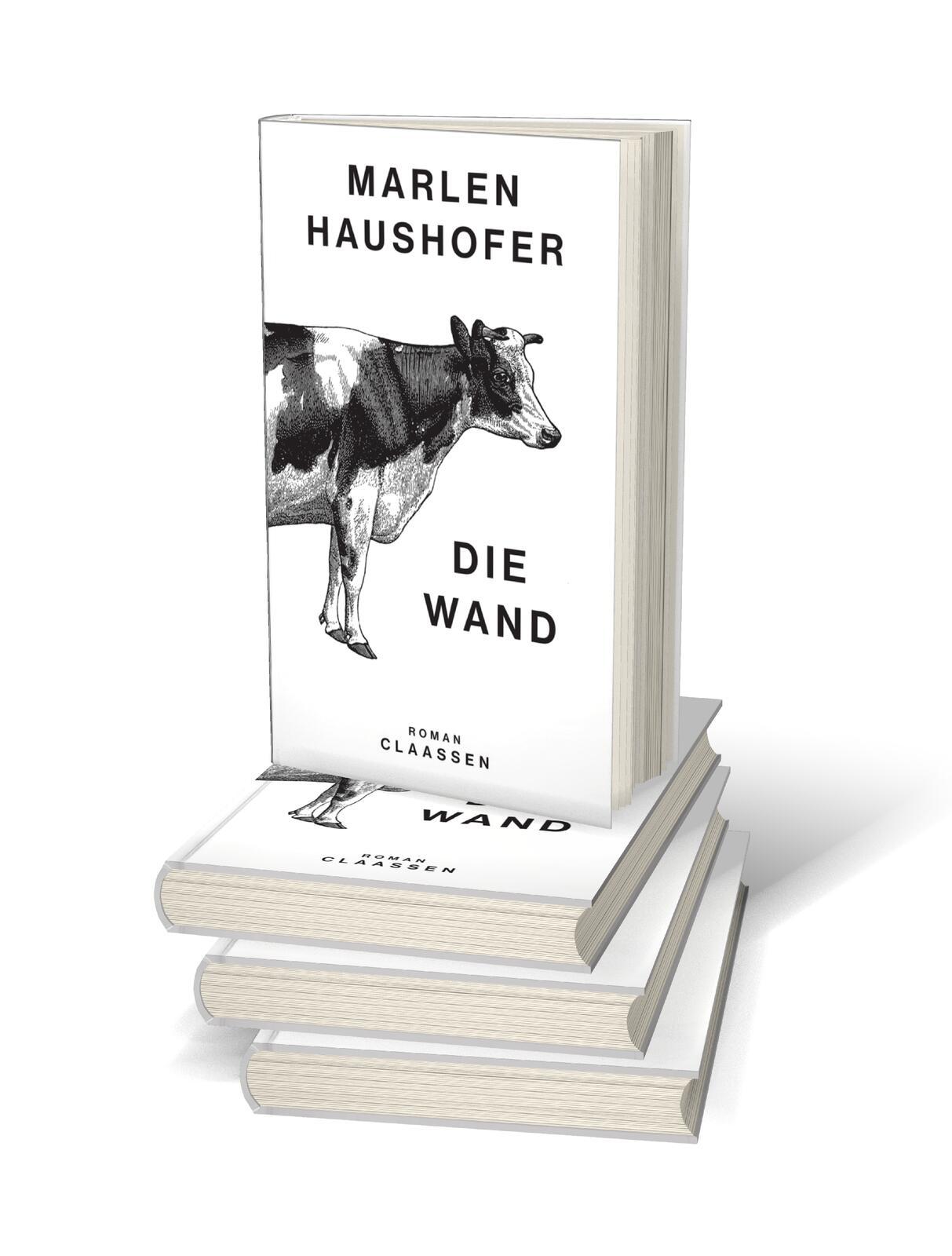 Beispielinhalt (Bild) Die Wand