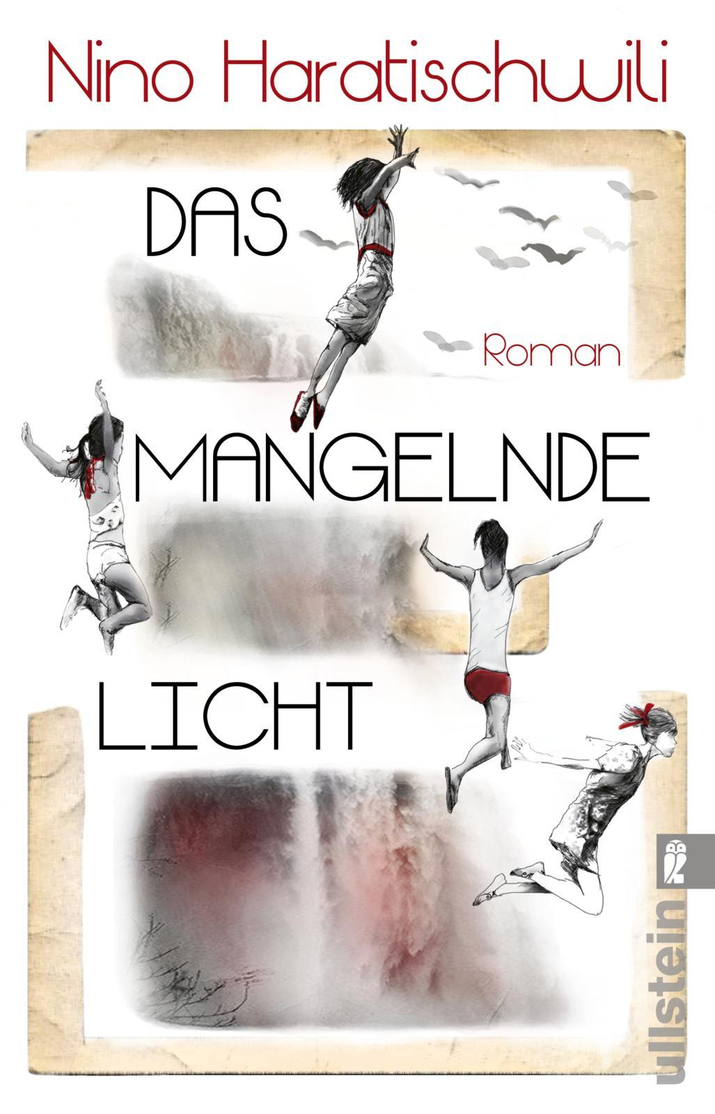 Vorderes Coverbild Das mangelnde Licht