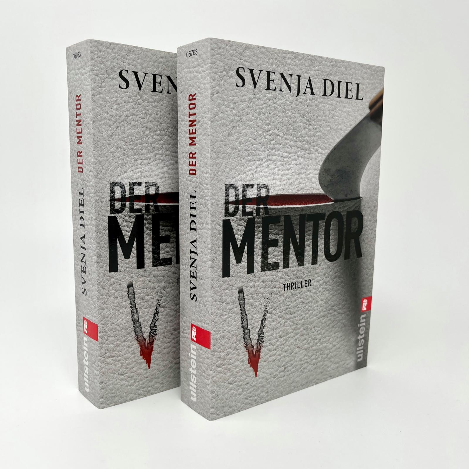Beispielinhalt (Bild) Der Mentor