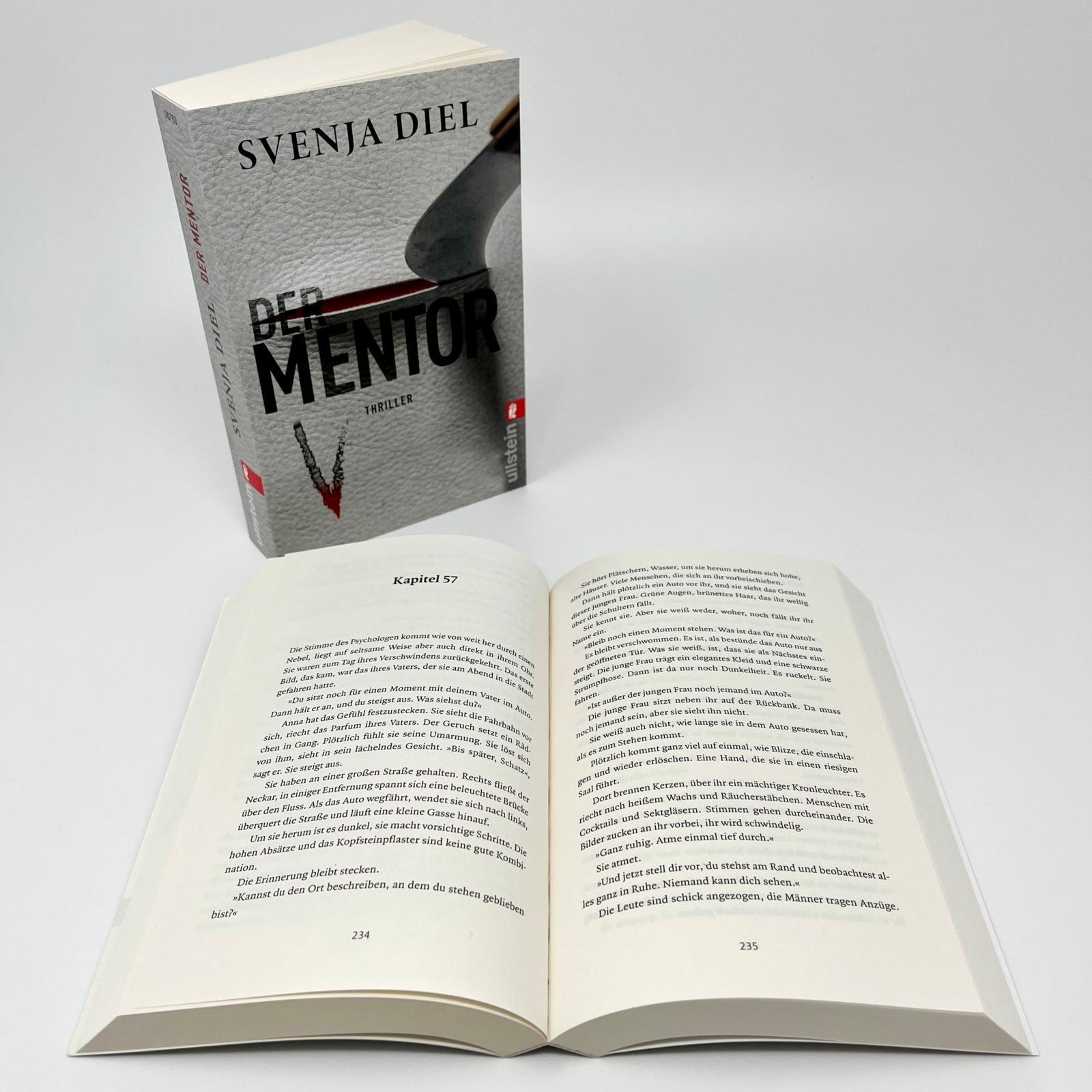 Beispielinhalt (Bild) Der Mentor