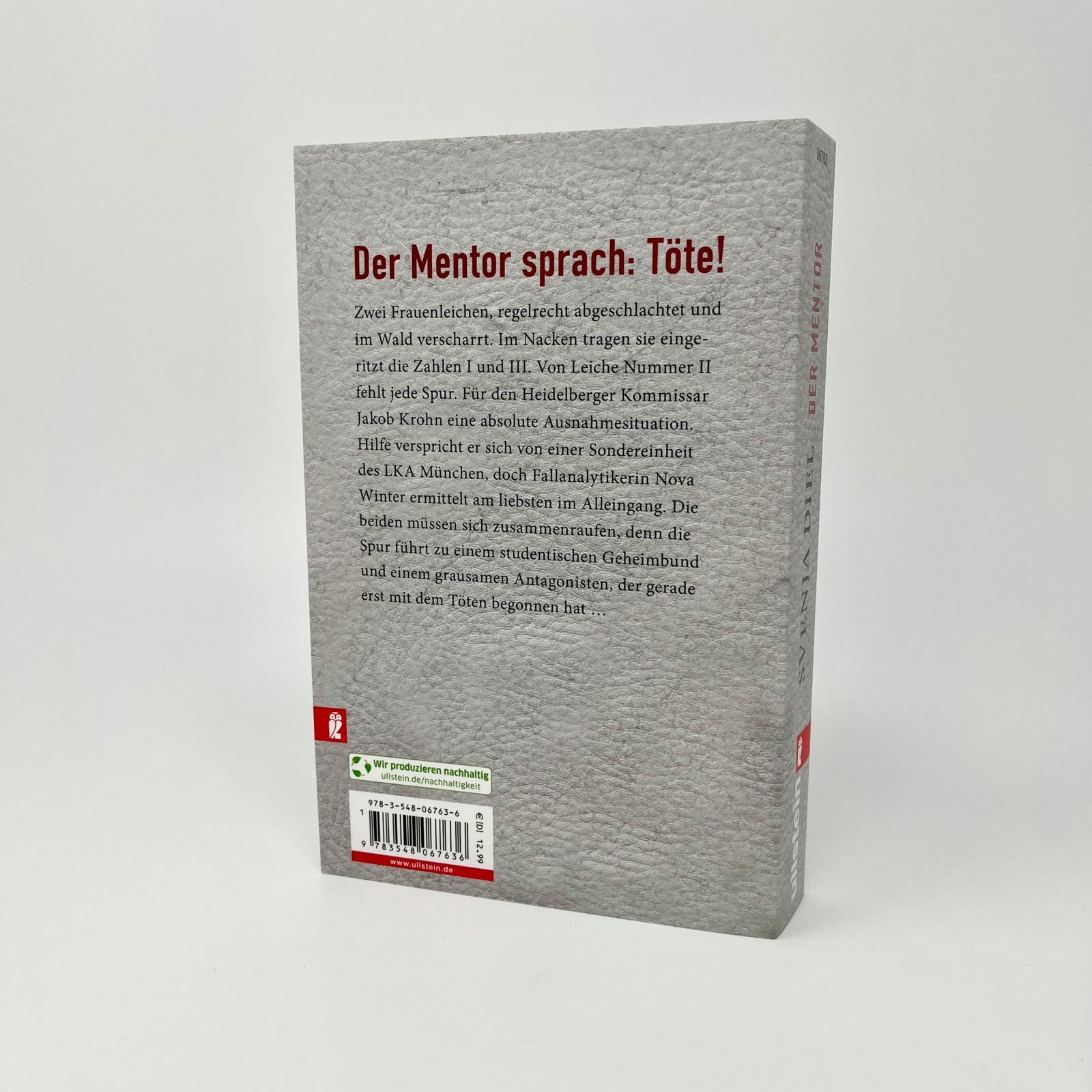 Beispielinhalt (Bild) Der Mentor