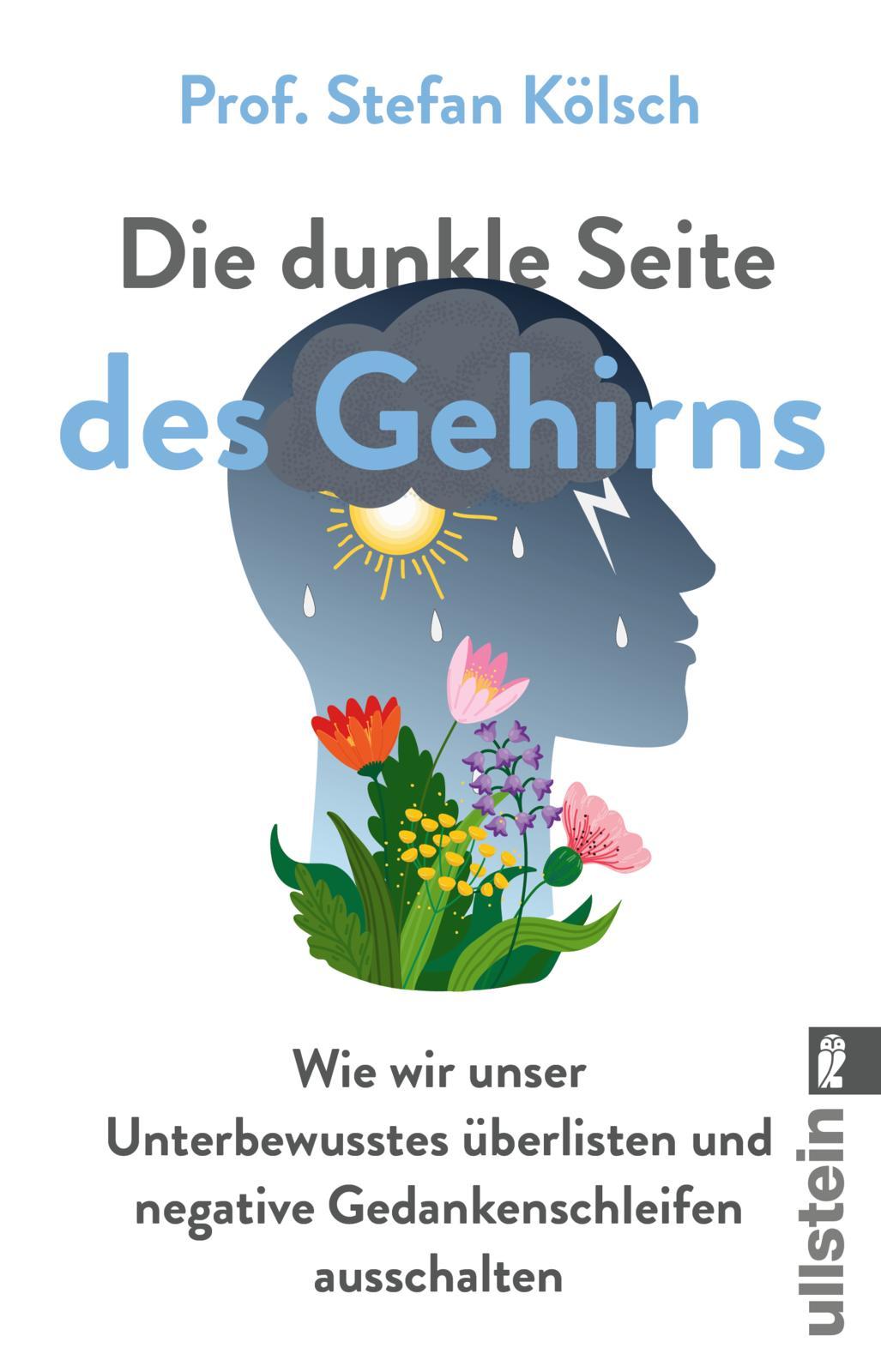 Vorderes Coverbild Die dunkle Seite des Gehirns