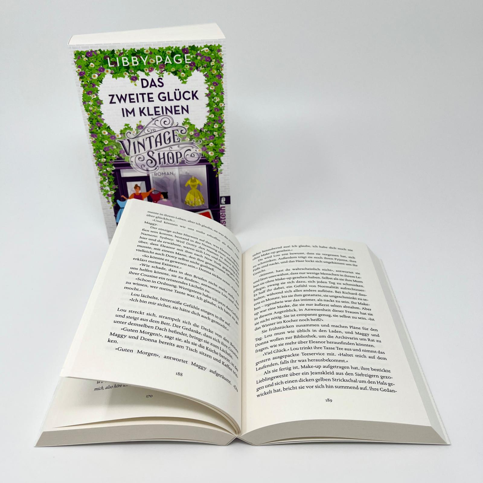 Beispielinhalt (Bild) Das zweite Glück im kleinen Vintage Shop