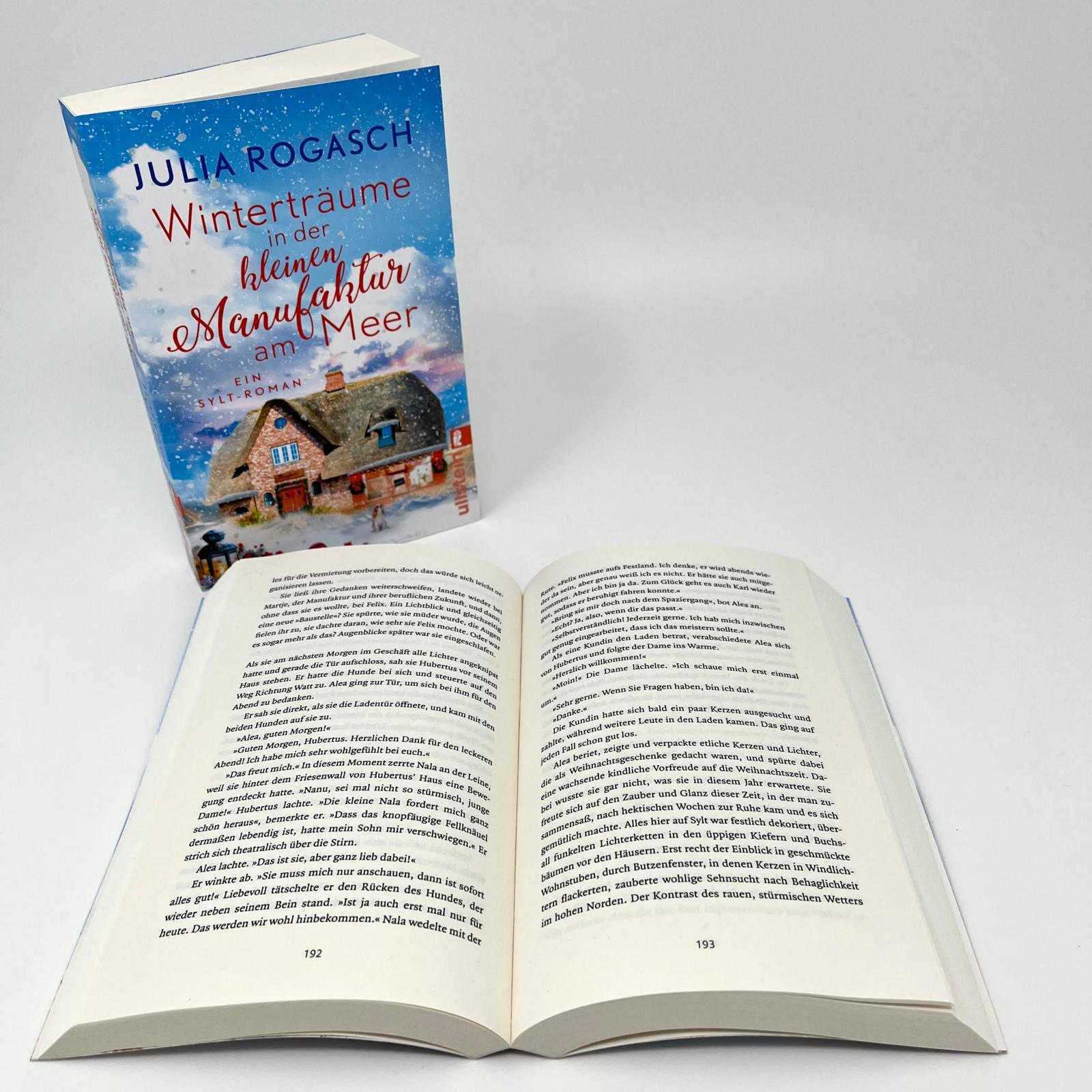 Beispielinhalt (Bild) Winterträume in der kleinen Manufaktur am Meer
