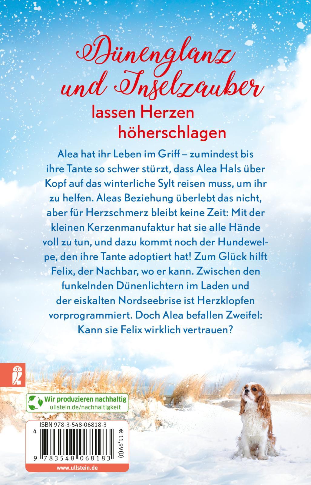 Rückseitencover Winterträume in der kleinen Manufaktur am Meer