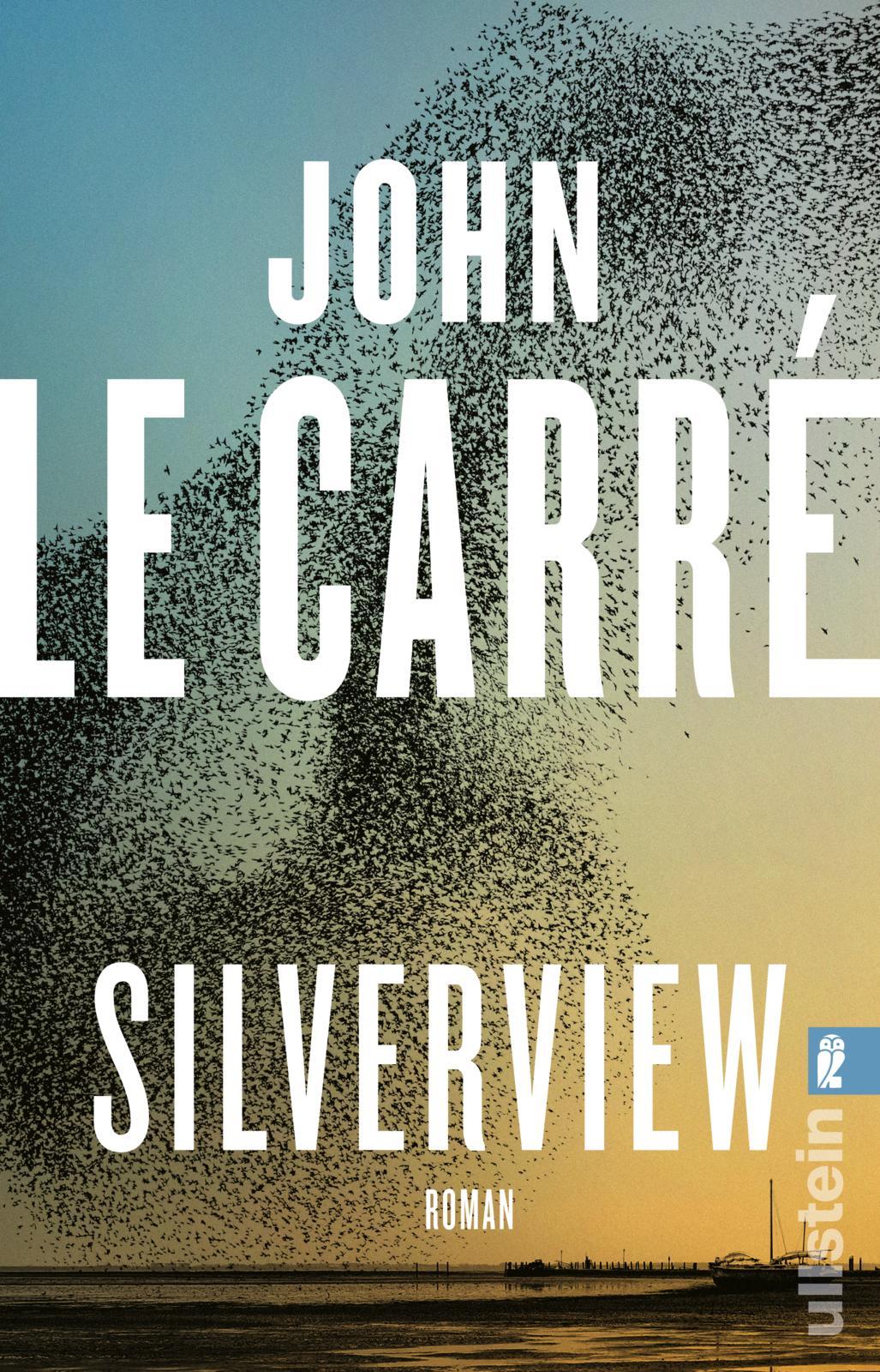 Vorderes Coverbild Silverview