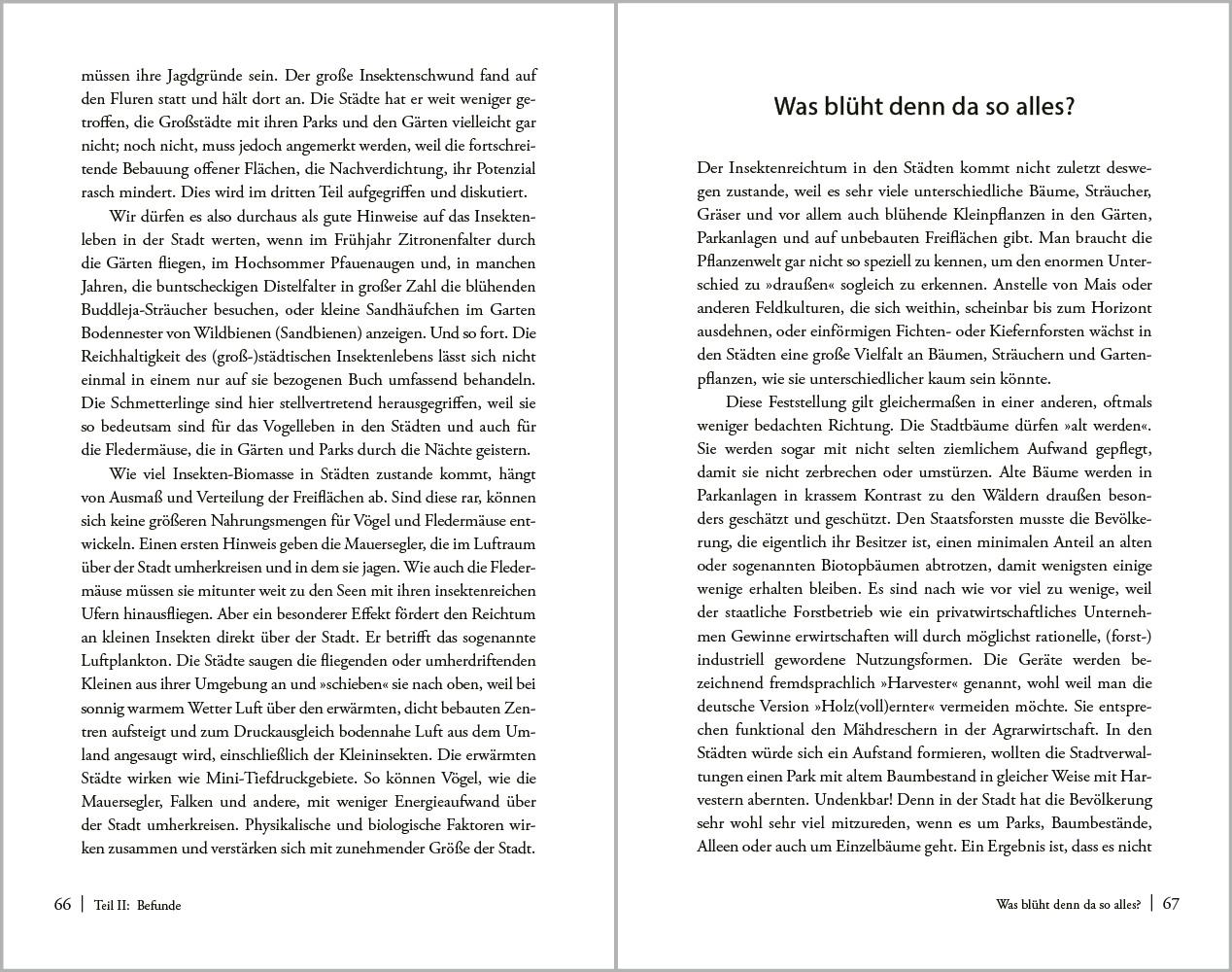 Beispielinhalt (Bild) Stadtnatur