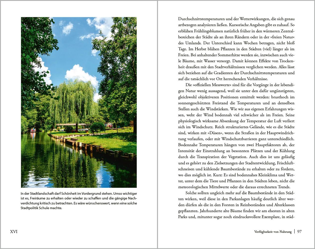 Beispielinhalt (Bild) Stadtnatur