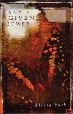 Vorderes Coverbild Any Given Power