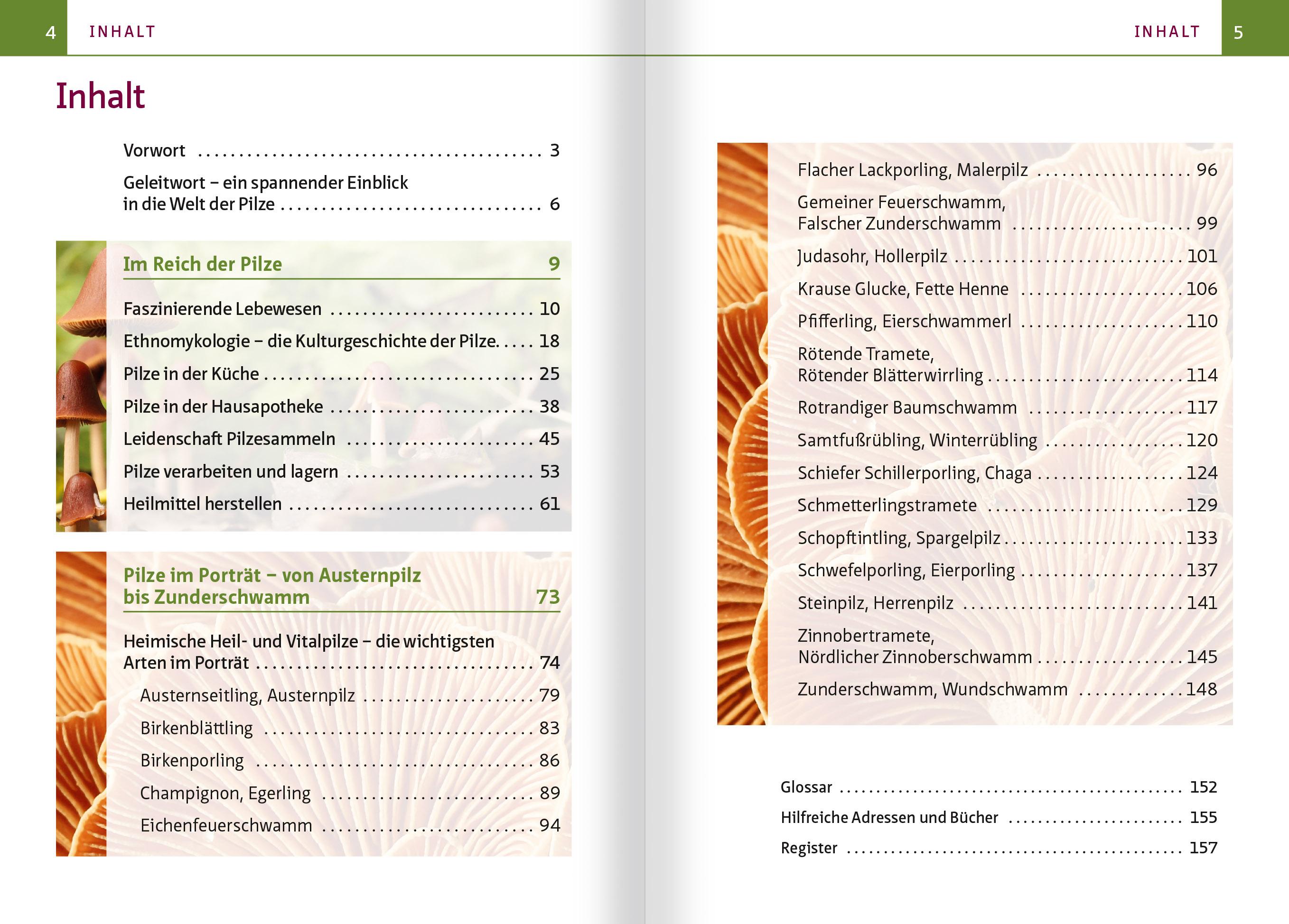 Beispielinhalt (Bild) Heimische Heil- und Vitalpilze. Kompakt-Ratgeber