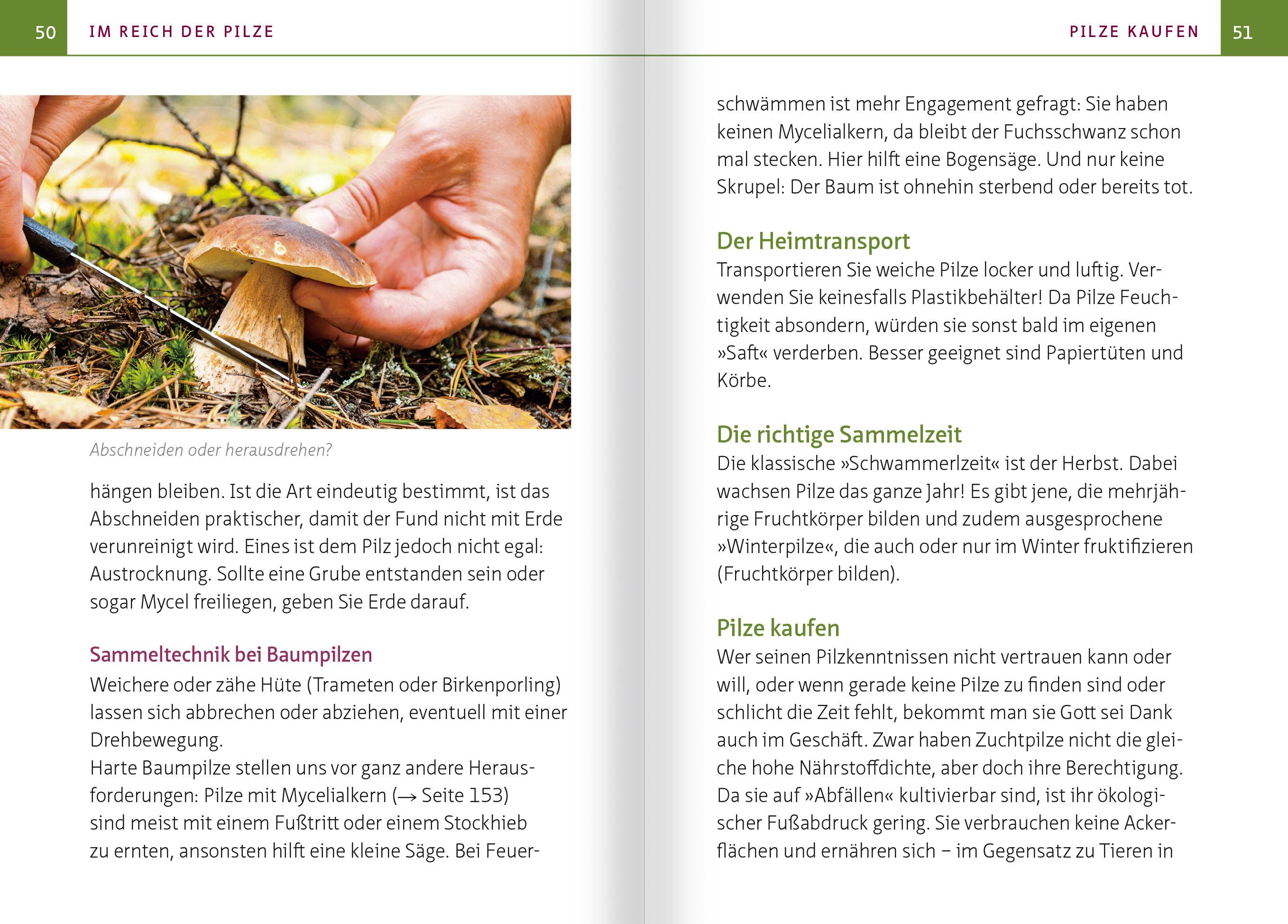 Beispielinhalt (Bild) Heimische Heil- und Vitalpilze. Kompakt-Ratgeber