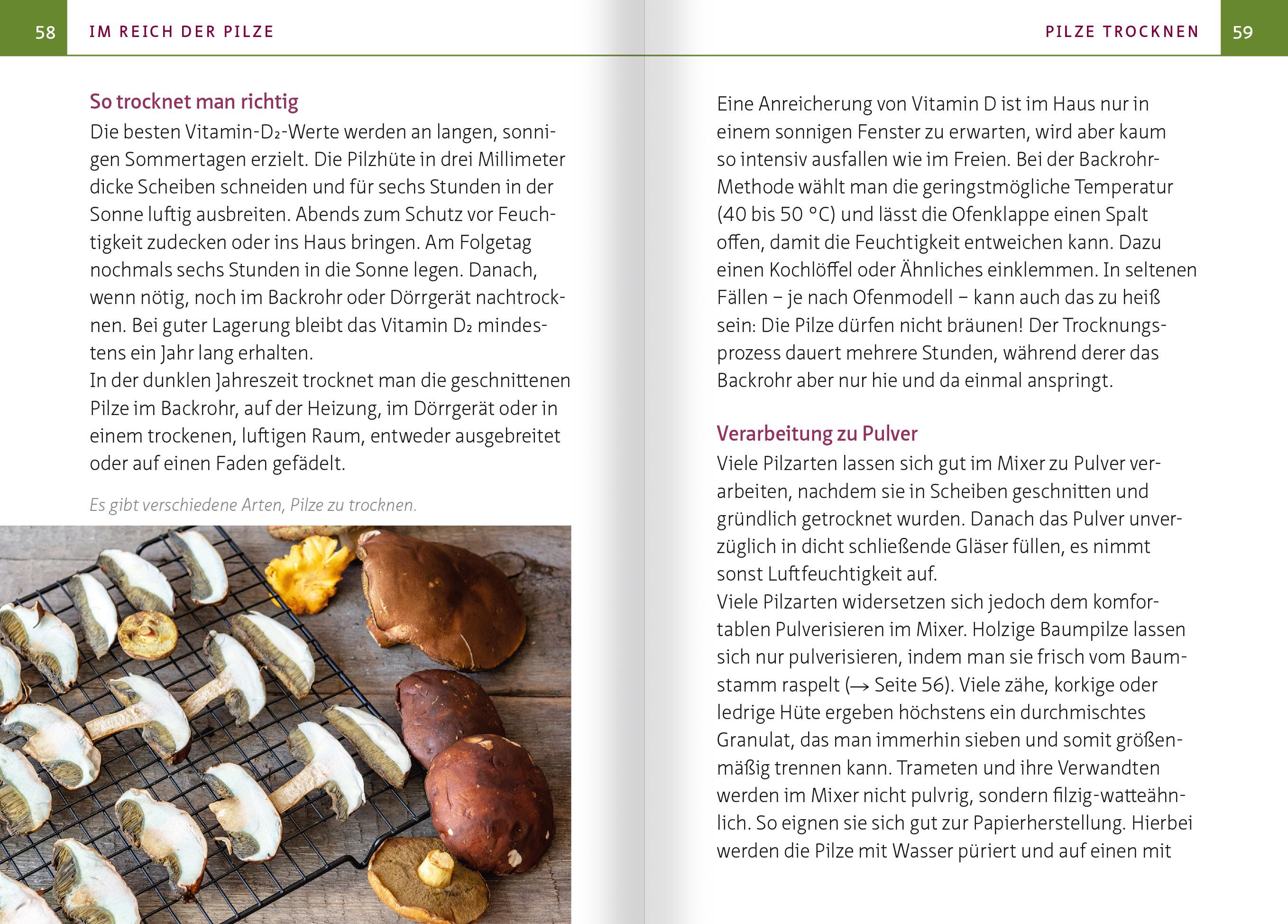 Beispielinhalt (Bild) Heimische Heil- und Vitalpilze. Kompakt-Ratgeber