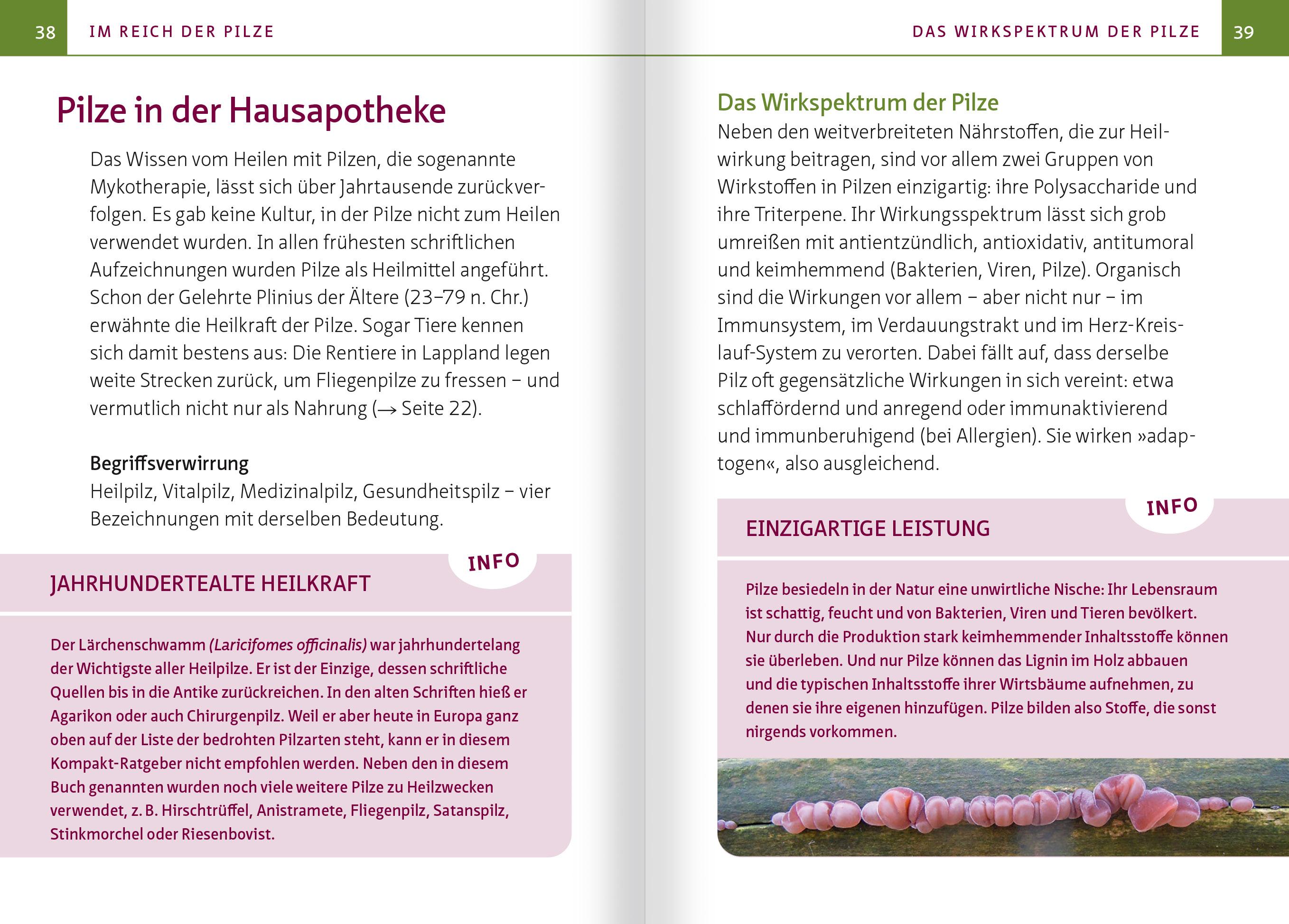 Beispielinhalt (Bild) Heimische Heil- und Vitalpilze. Kompakt-Ratgeber