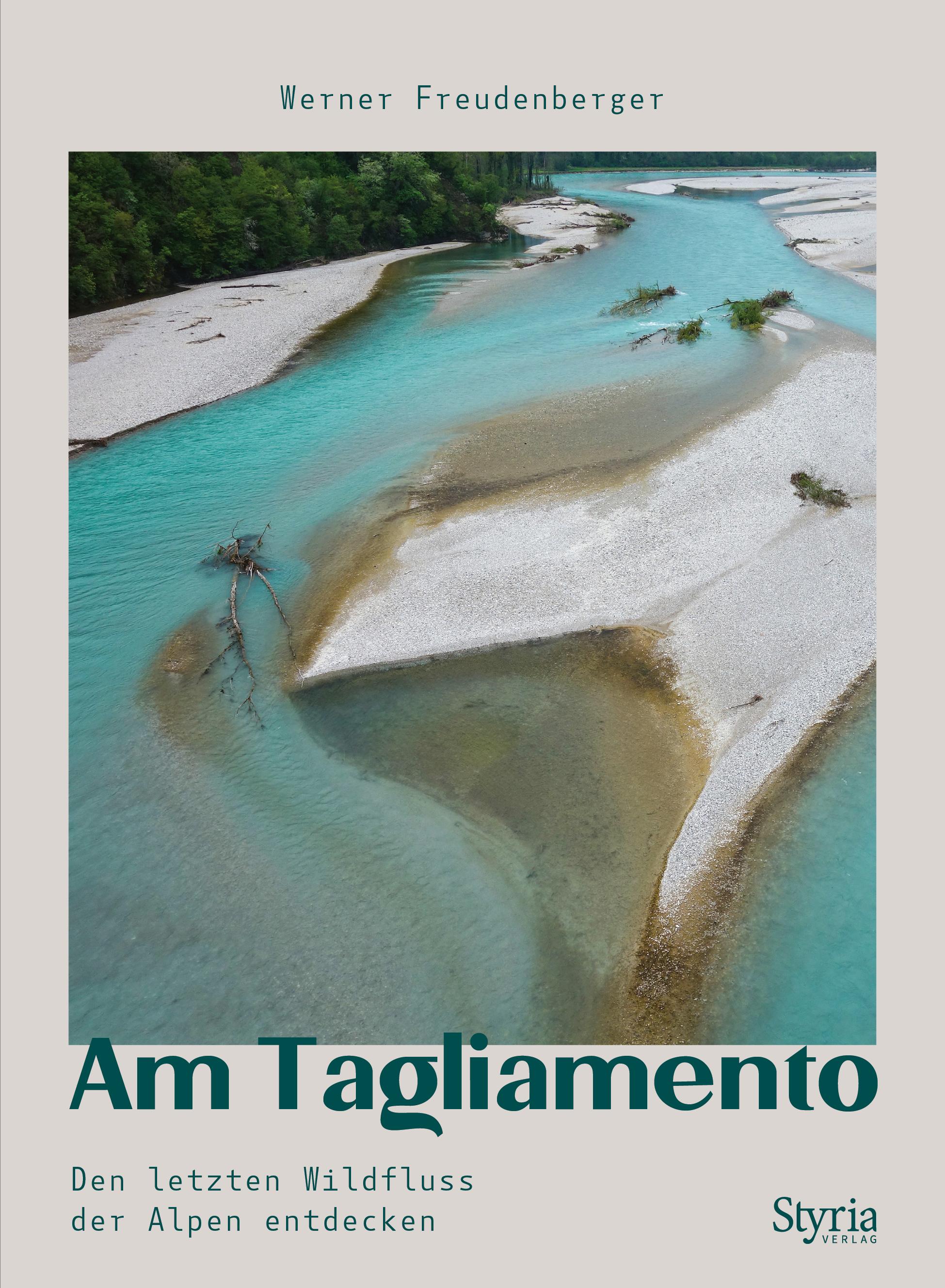 Vorderes Coverbild Am Tagliamento