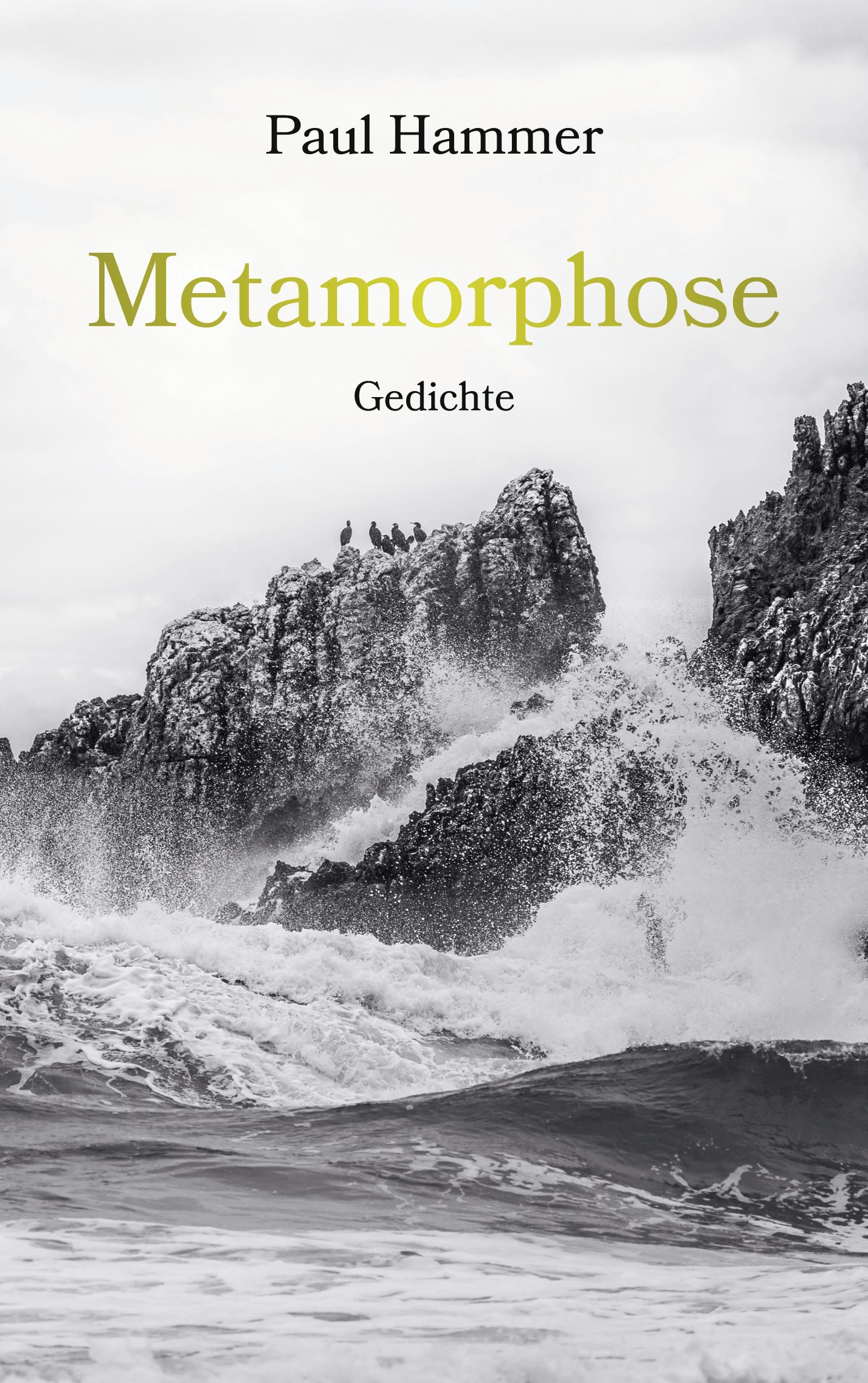 Vorderes Coverbild Metamorphose