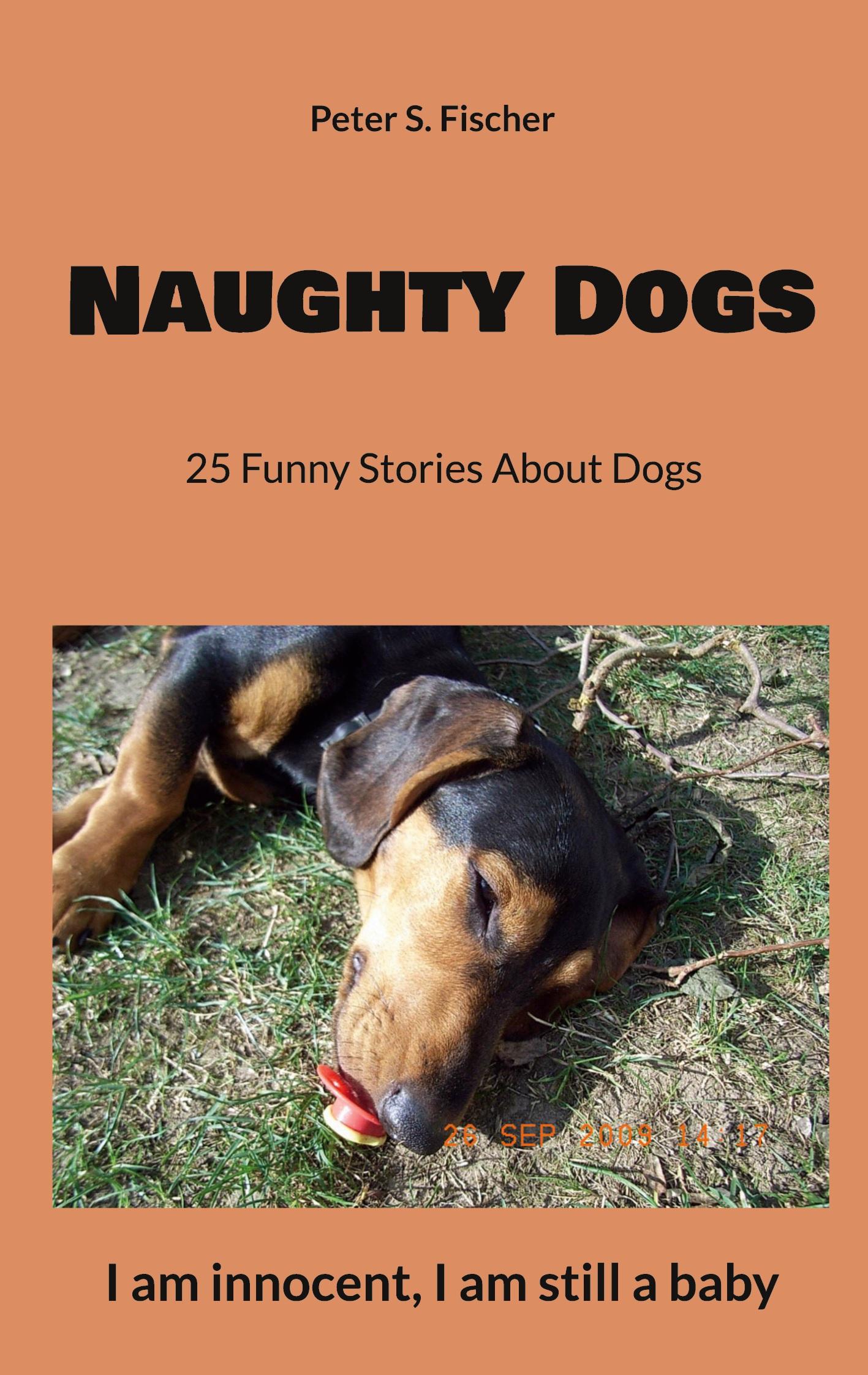 Vorderes Coverbild Naughty Dogs