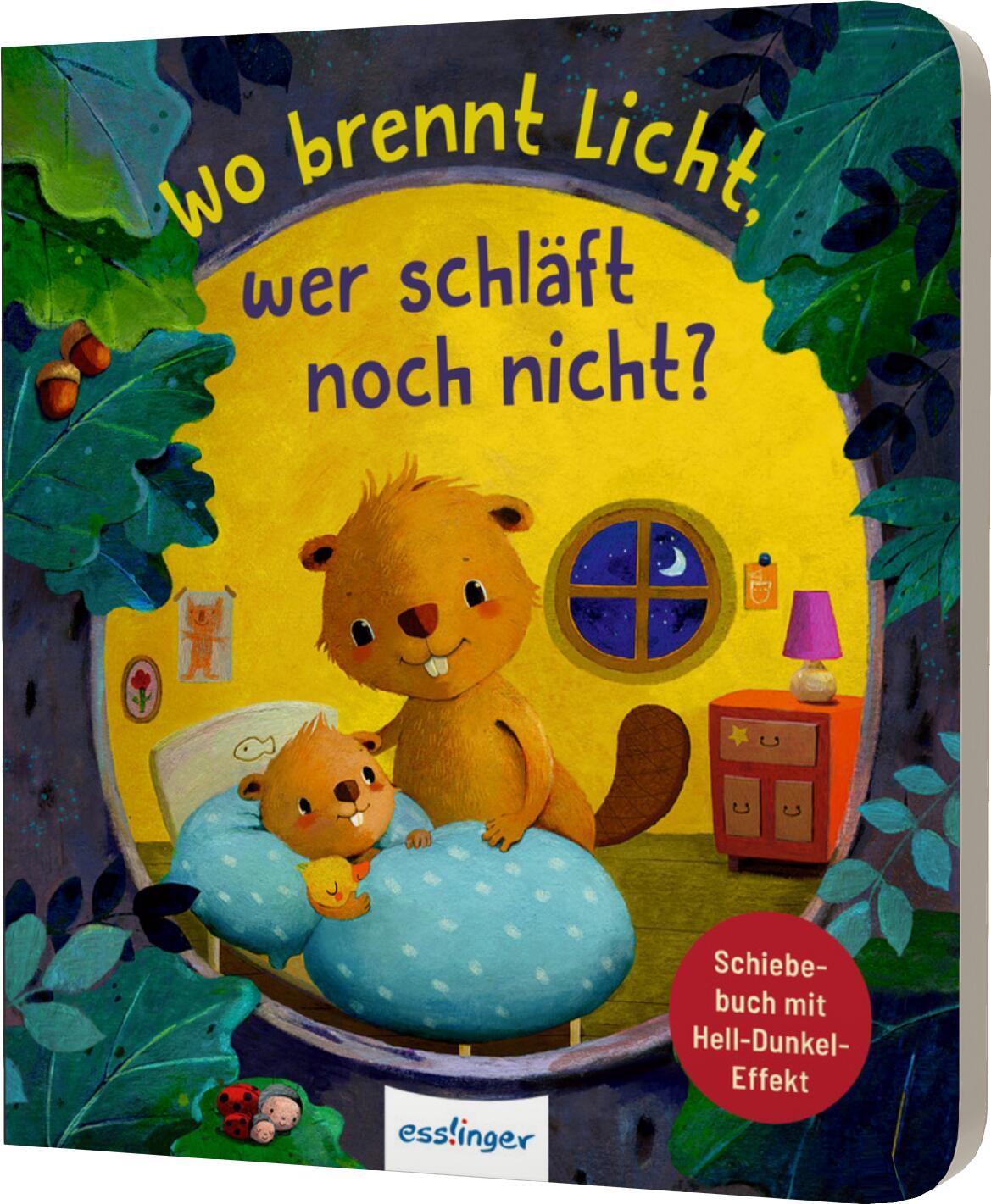 Vorderes Coverbild Wo brennt Licht, wer schläft noch nicht?