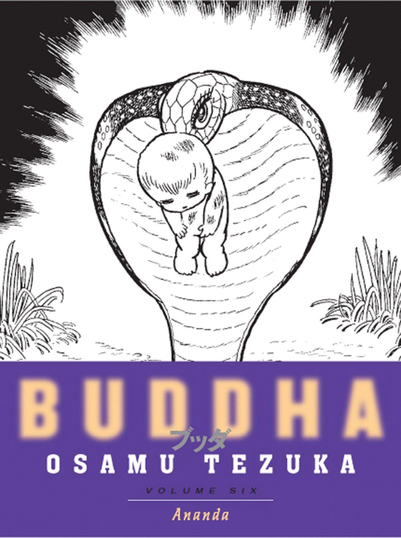 Vorderes Coverbild Buddha 6: Ananda