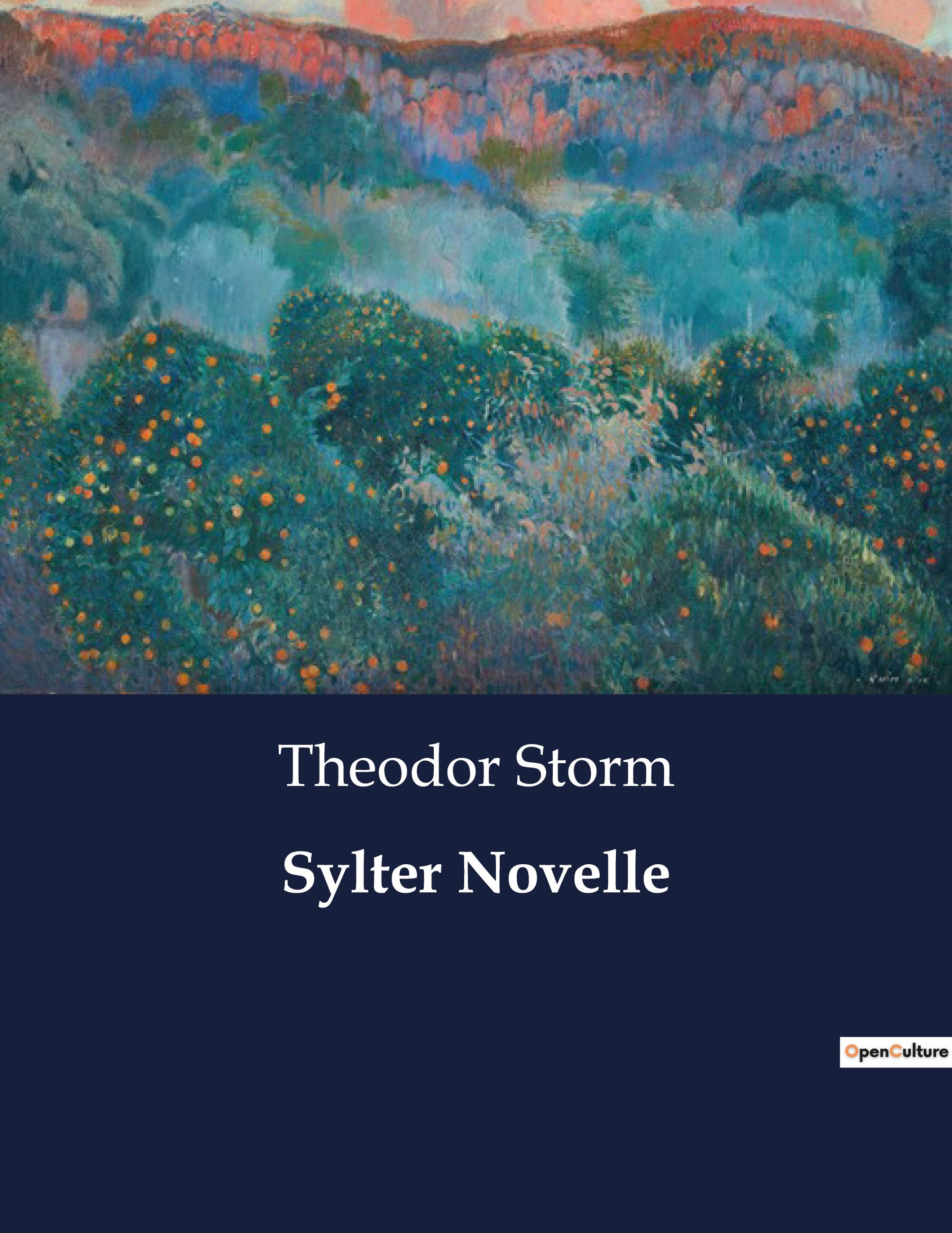 Vorderes Coverbild Sylter Novelle
