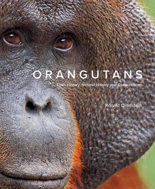 Vorderes Coverbild Orangutans