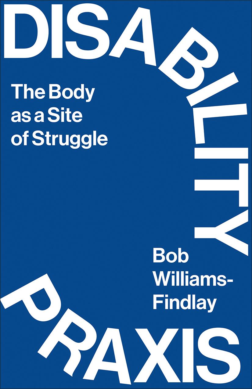 Vorderes Coverbild Disability Praxis
