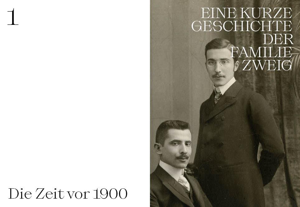 Beispielinhalt (Bild) Das Stefan Zweig Album