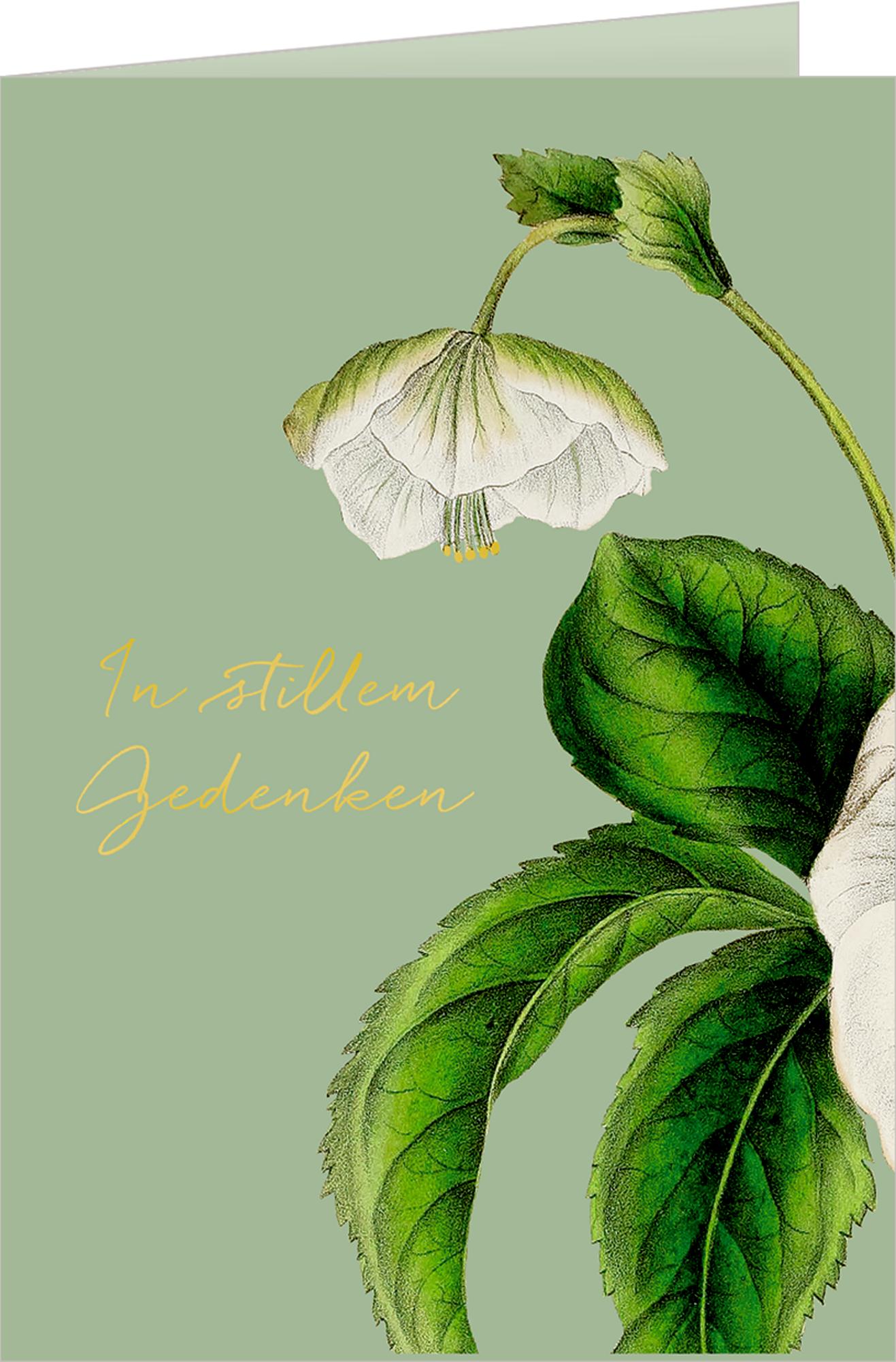 Beispielinhalt (Bild) Grußkarten-Set - Trauerkarten