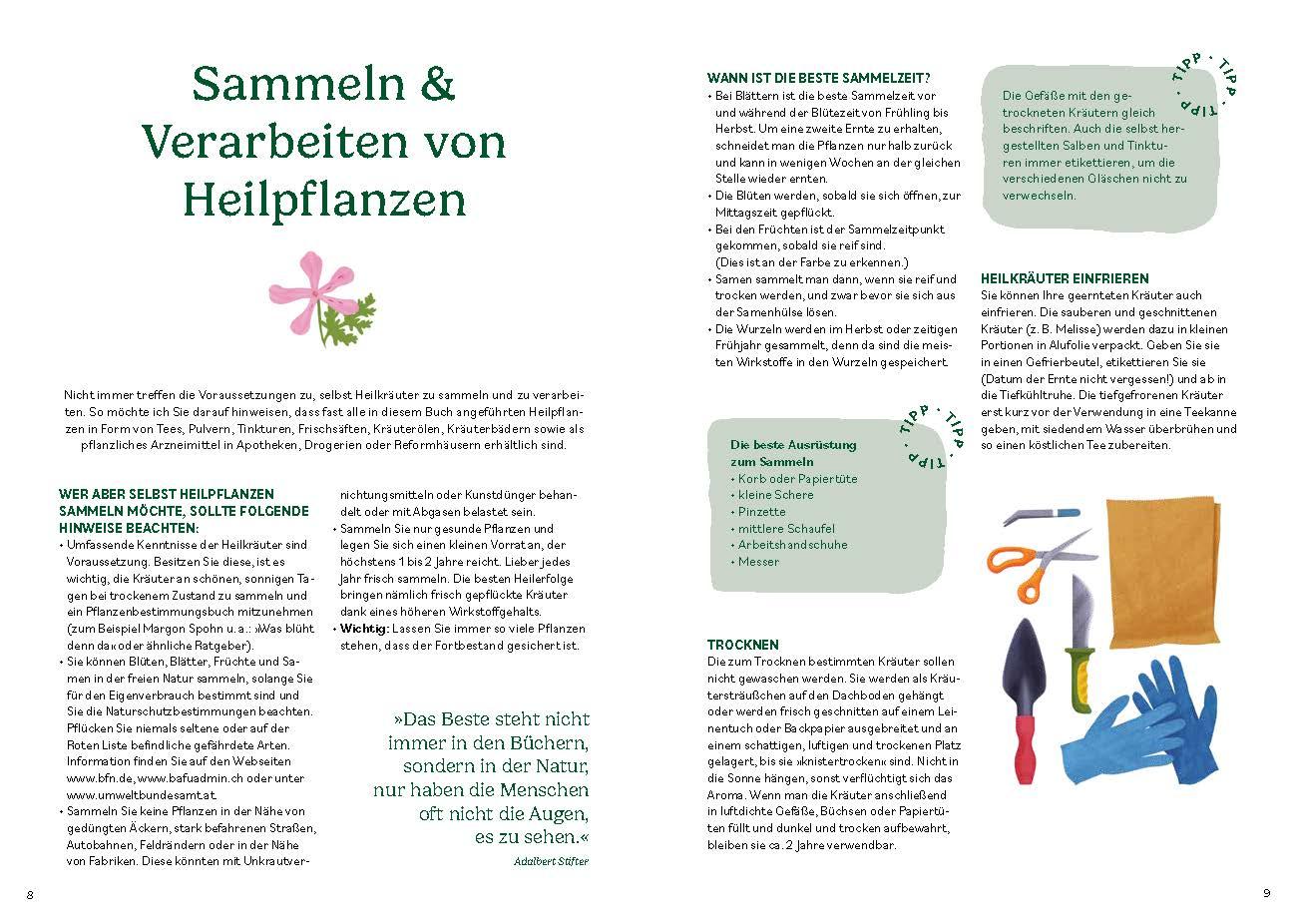 Beispielinhalt (Bild) Heilen mit pflanzlichen Antibiotika