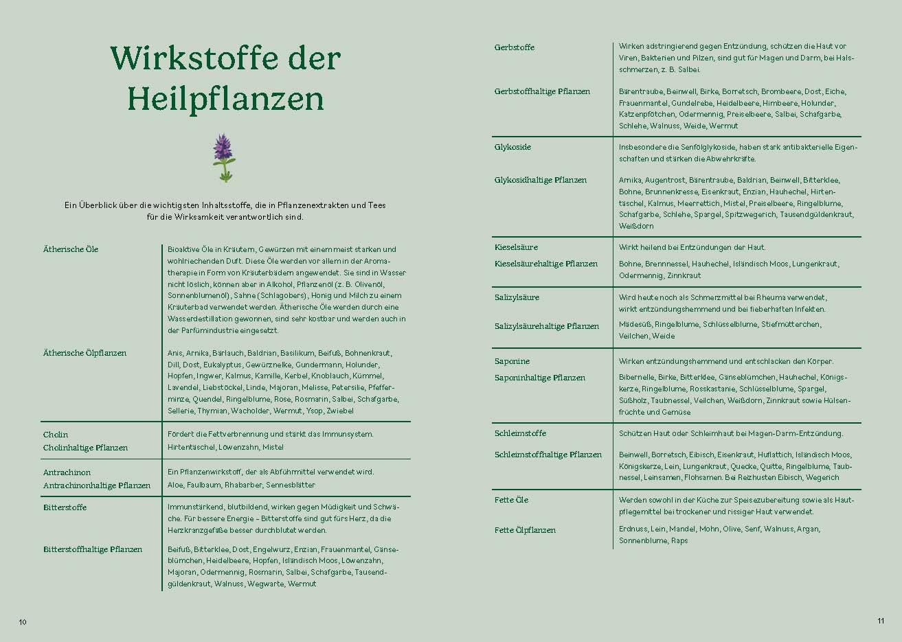 Beispielinhalt (Bild) Heilen mit pflanzlichen Antibiotika