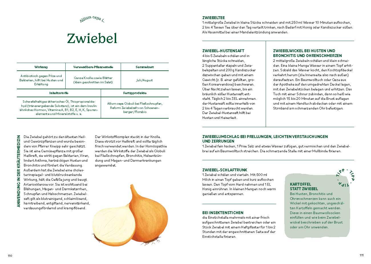 Beispielinhalt (Bild) Heilen mit pflanzlichen Antibiotika