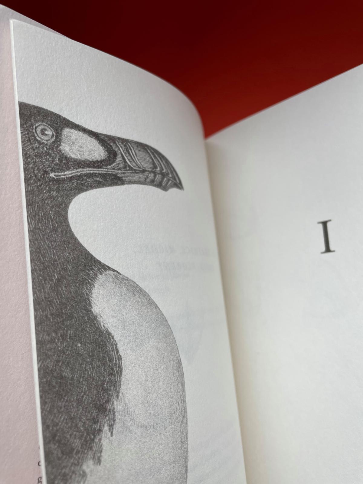 Beispielinhalt (Bild) Der Letzte seiner Art