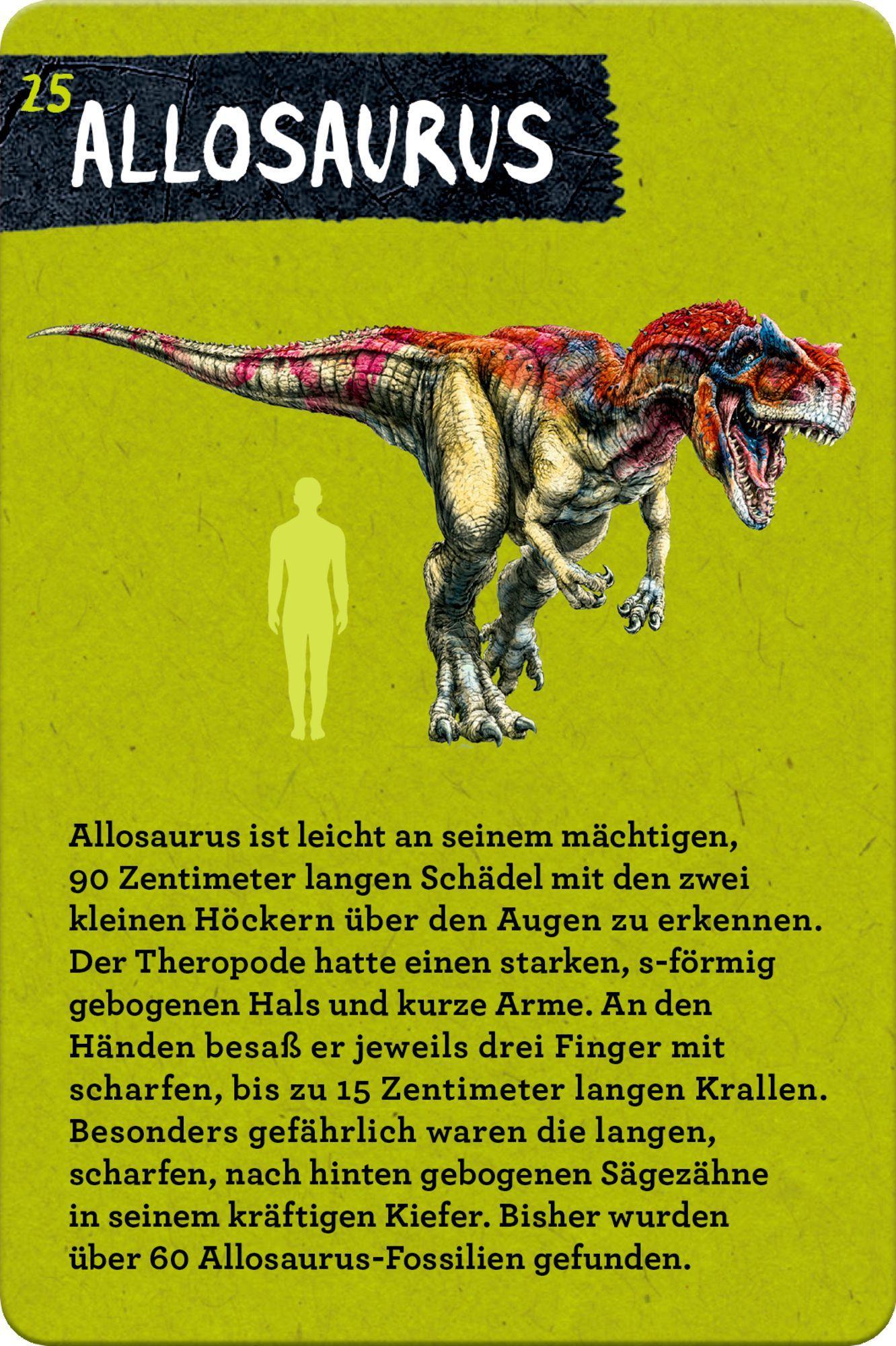 Beispielinhalt (Bild) 50 Dinosaurier