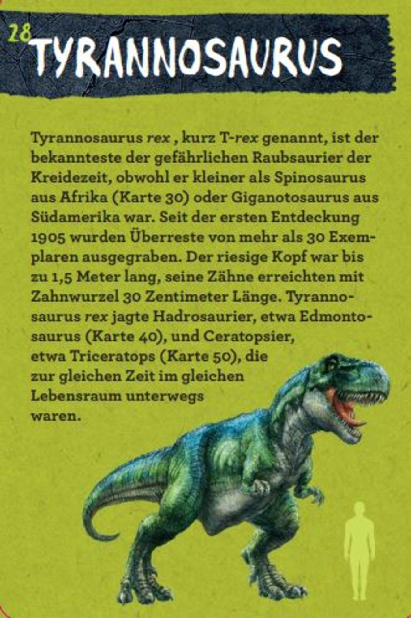 Beispielinhalt (Bild) 50 Dinosaurier