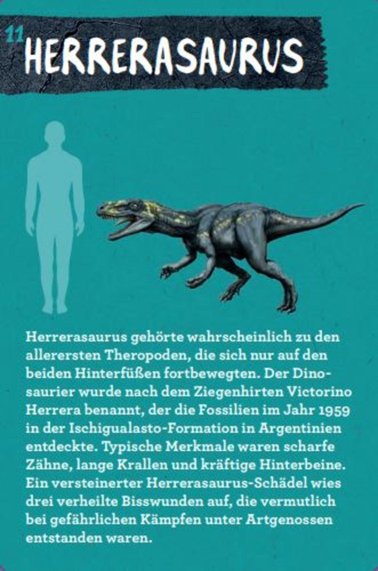 Beispielinhalt (Bild) 50 Dinosaurier