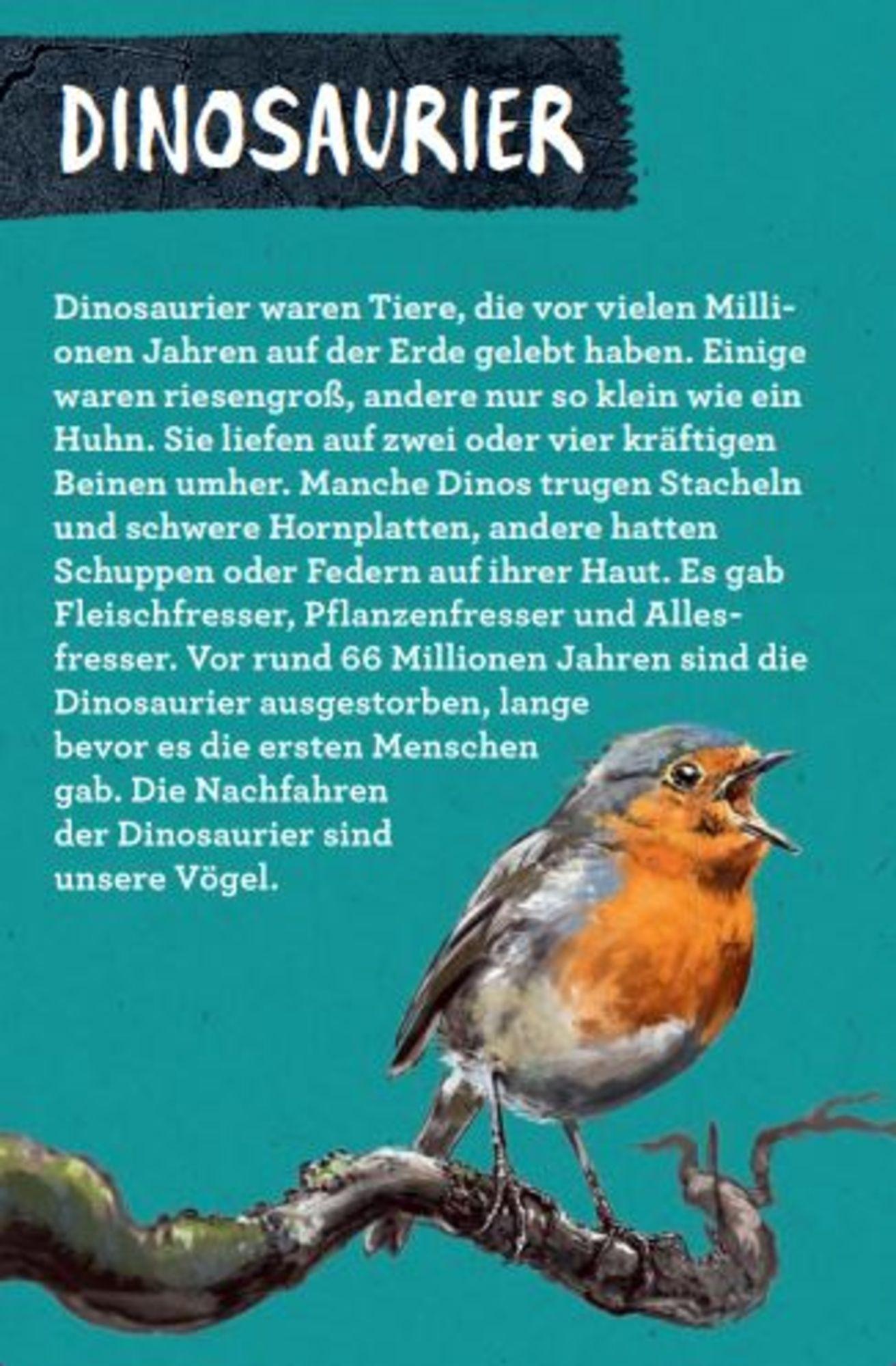 Beispielinhalt (Bild) 50 Dinosaurier