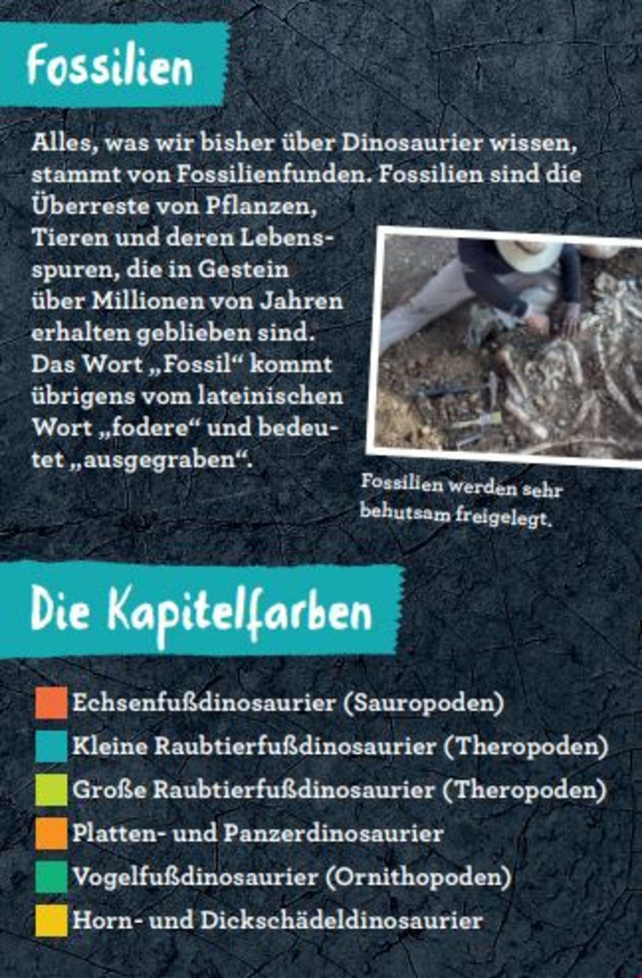Beispielinhalt (Bild) 50 Dinosaurier