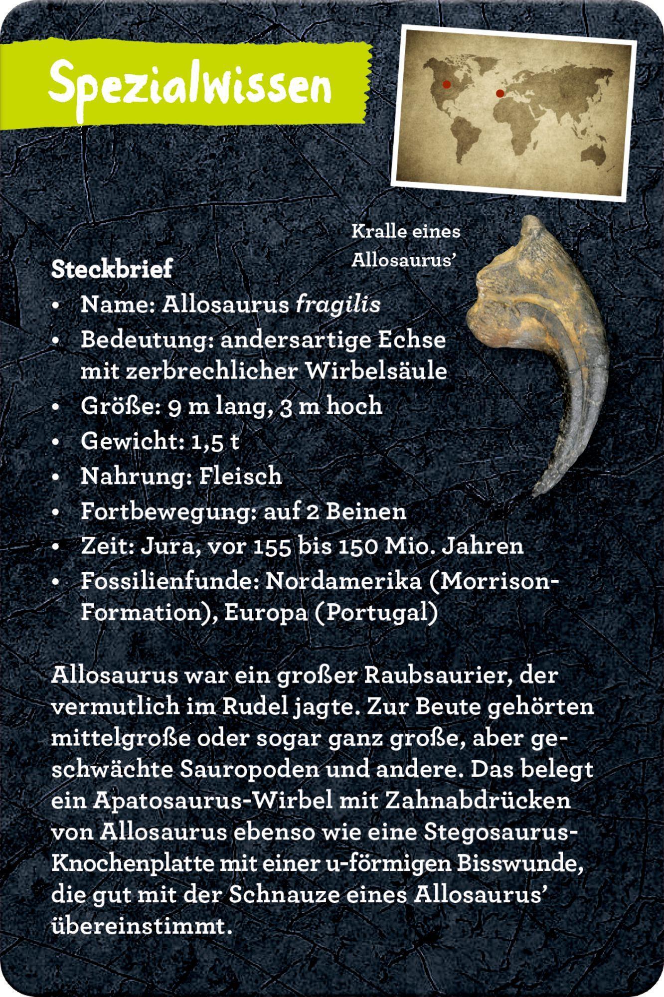 Beispielinhalt (Bild) 50 Dinosaurier