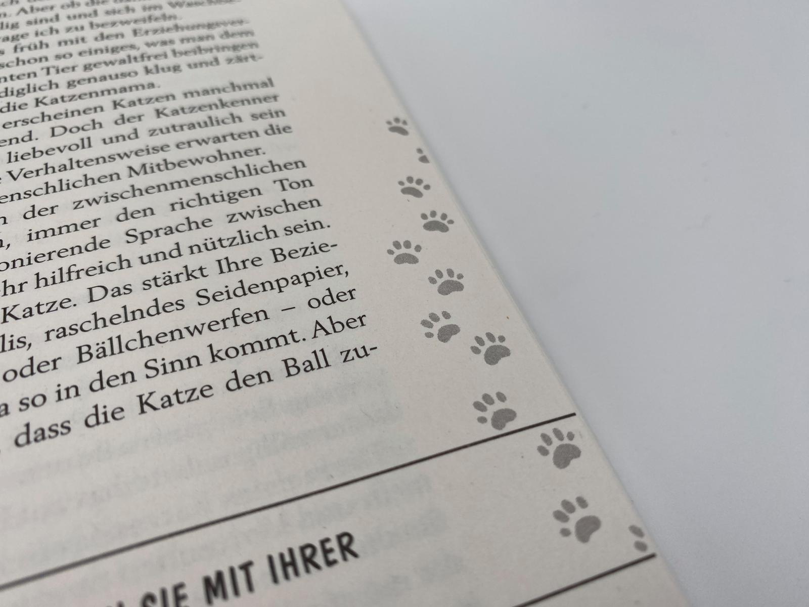 Beispielinhalt (Bild) Pfoten vom Tisch!